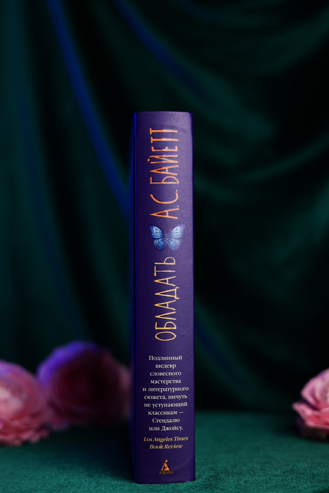 Промо материал к книге "Обладать" №8