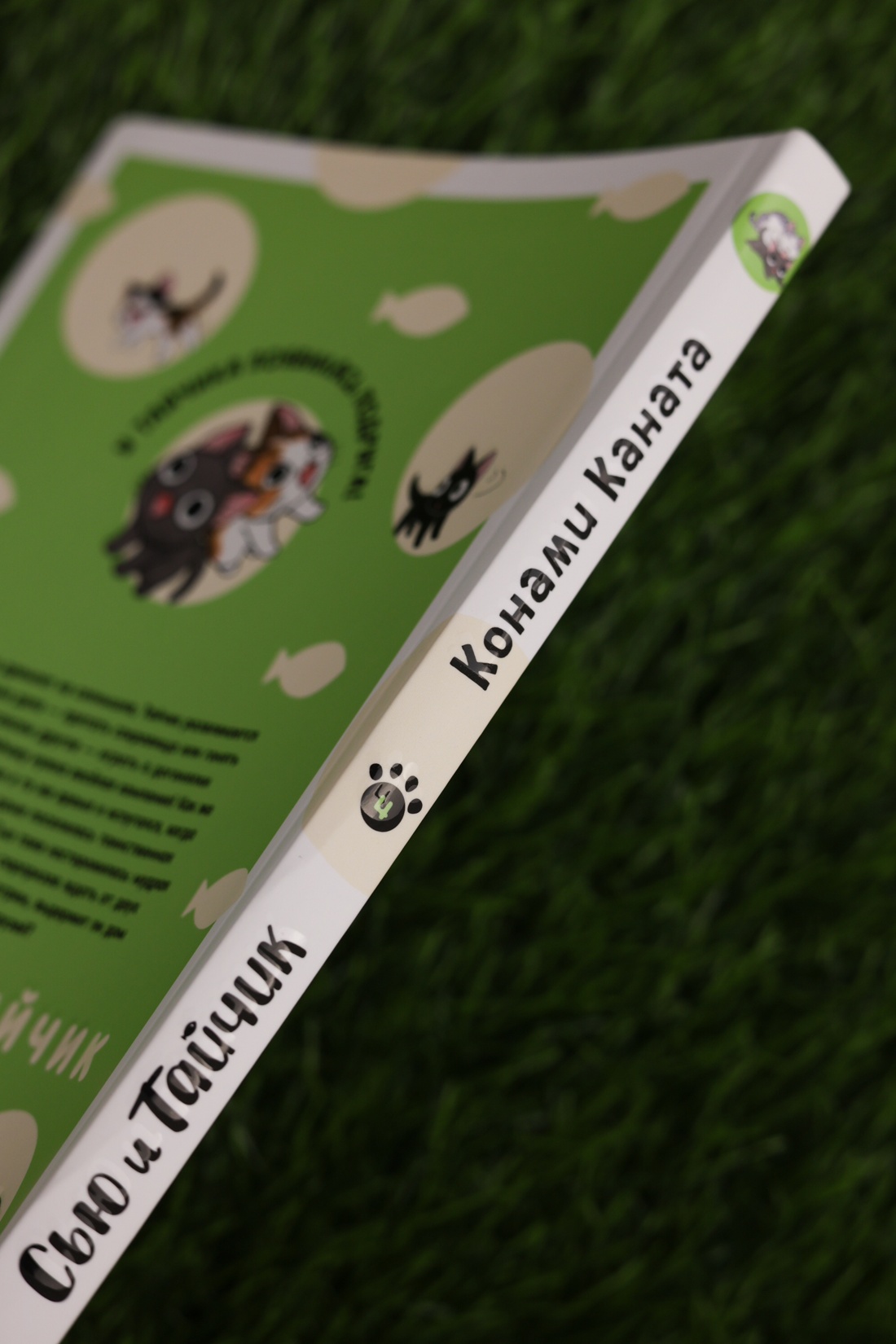 Промо материал к книге "Сью и Тайчик. Книга 4" №7