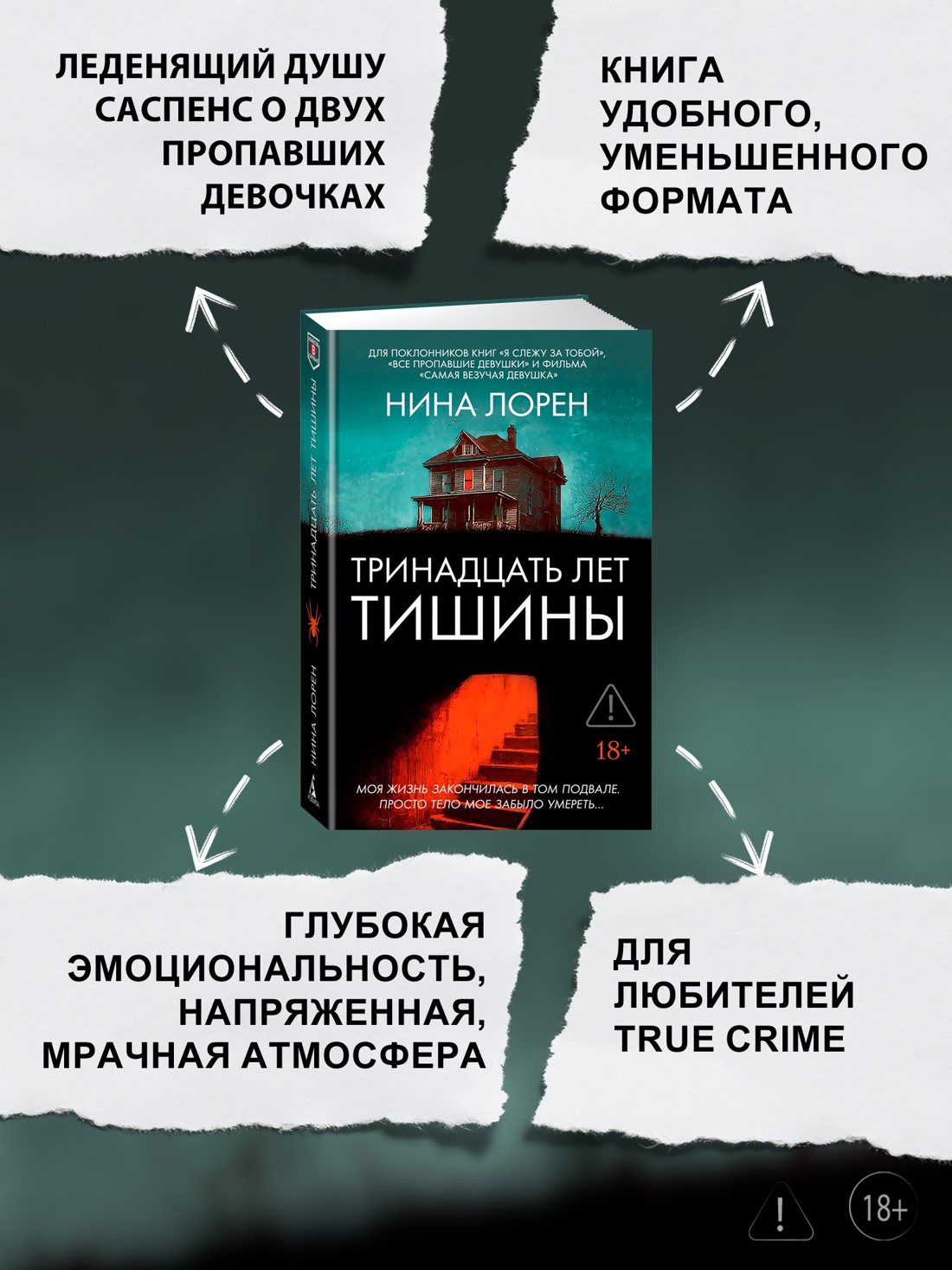 Промо материал к книге "Тринадцать лет тишины" №1