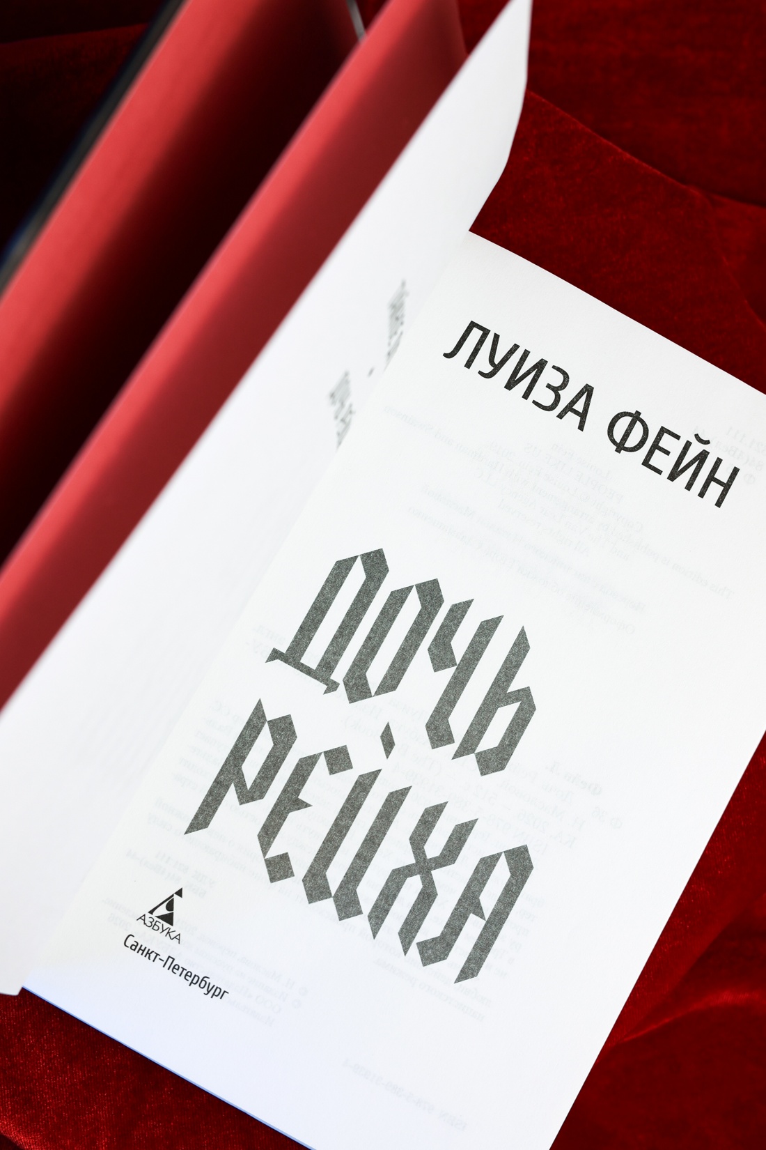 Промо материал к книге "Дочь Рейха (The Big Book)" №5