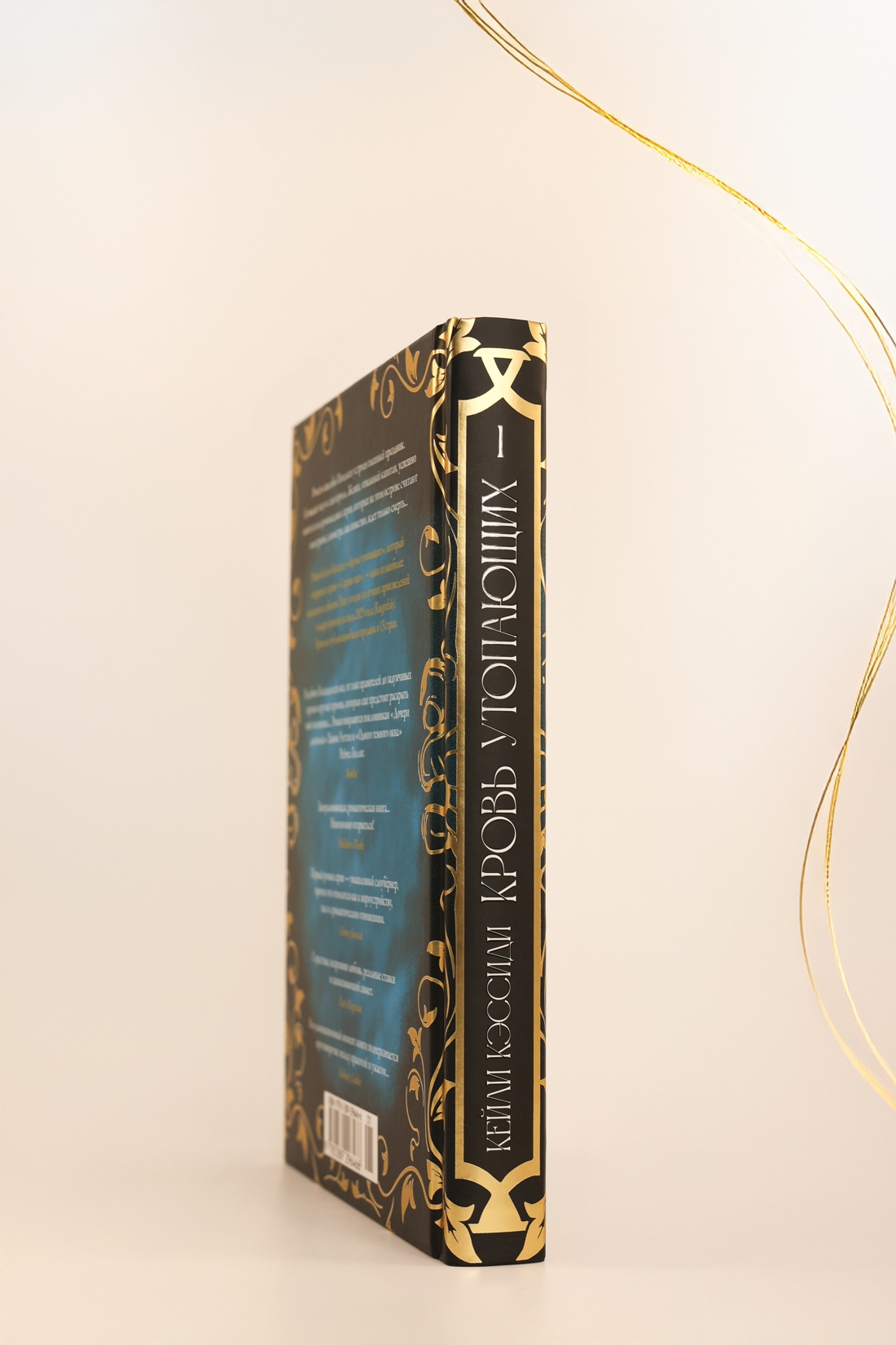 Промо материал к книге "Сирена-маг. Книга 1. Кровь утопающих" №4