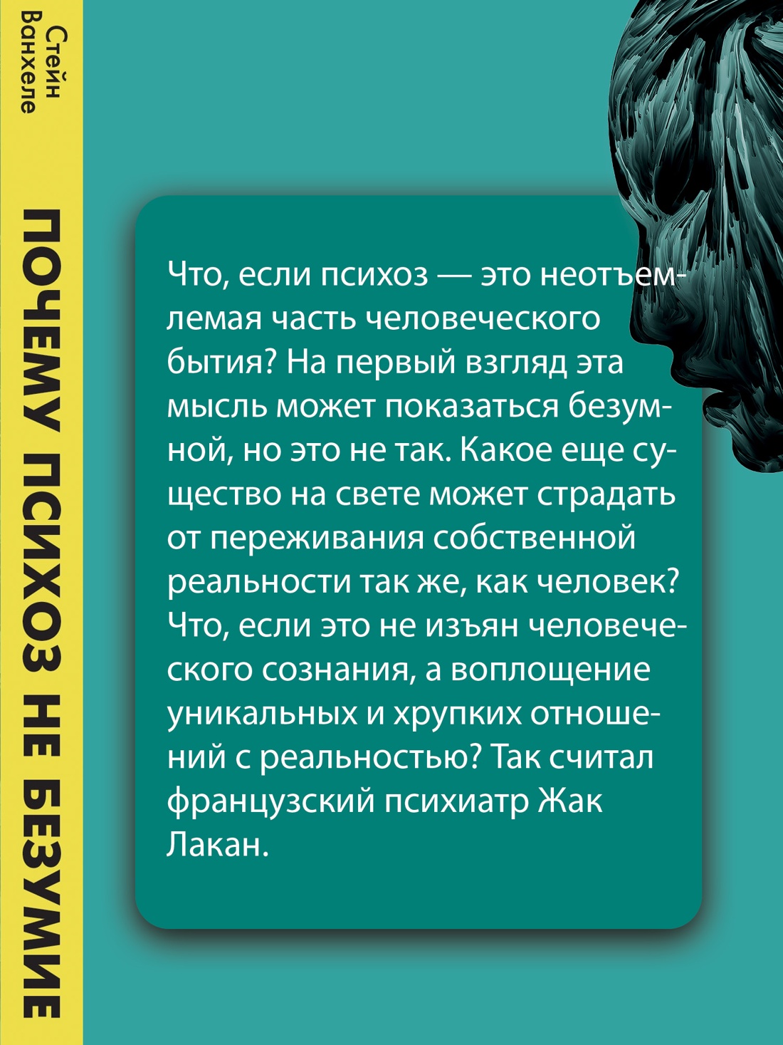 Промо материал к книге "Почему психоз не безумие. Рекомендации для специалистов, пациентов и их родных" №1