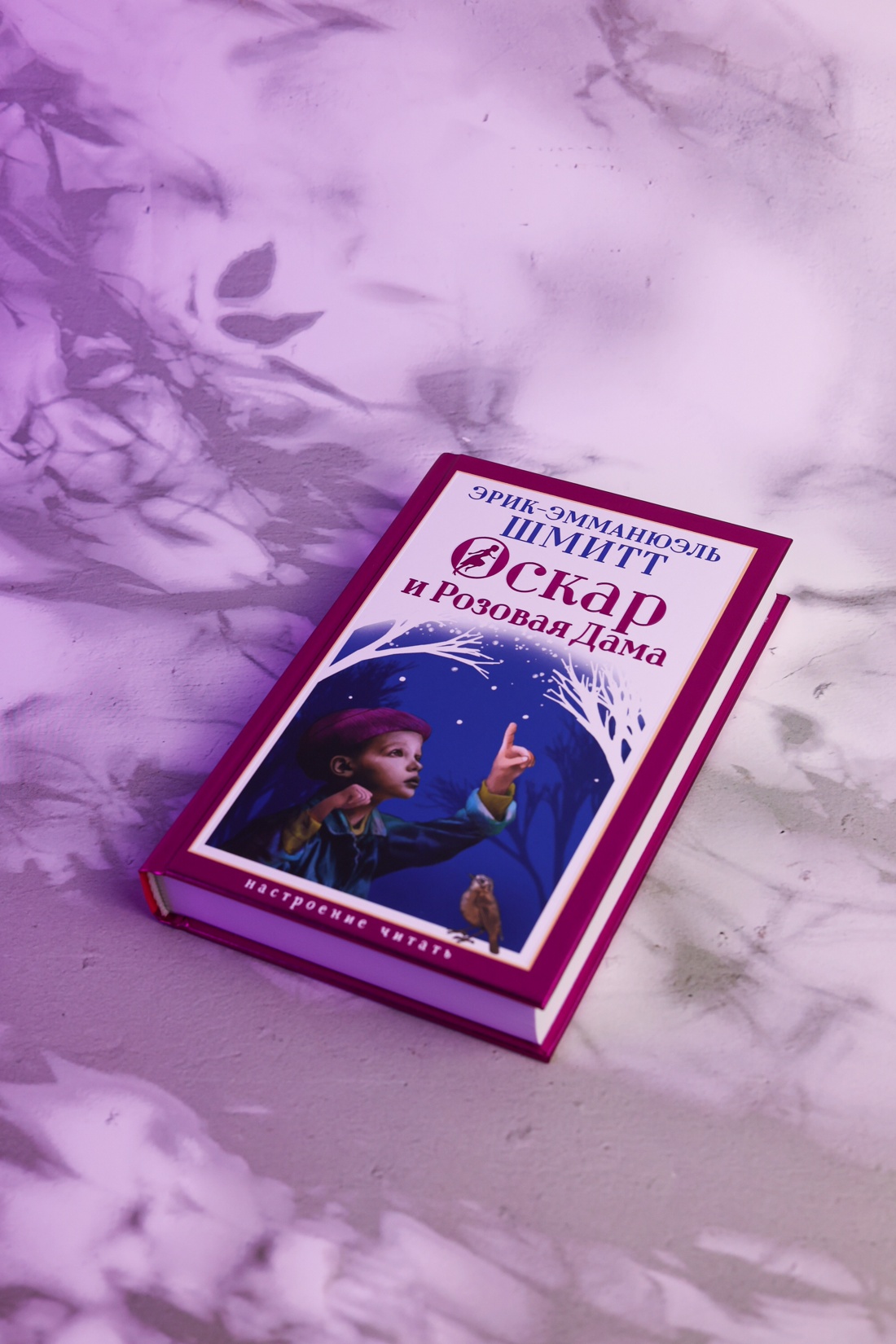 Промо материал к книге "Оскар и Розовая Дама (Настроение читать)" №6