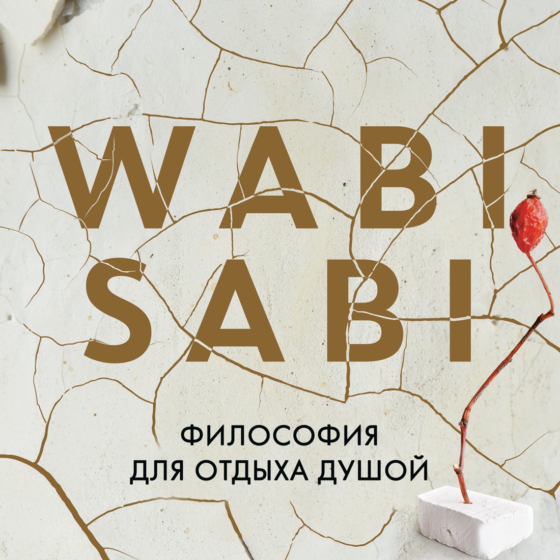 Промо материал к книге "Wabi Sabi. Глоток счастья по-японски" №0