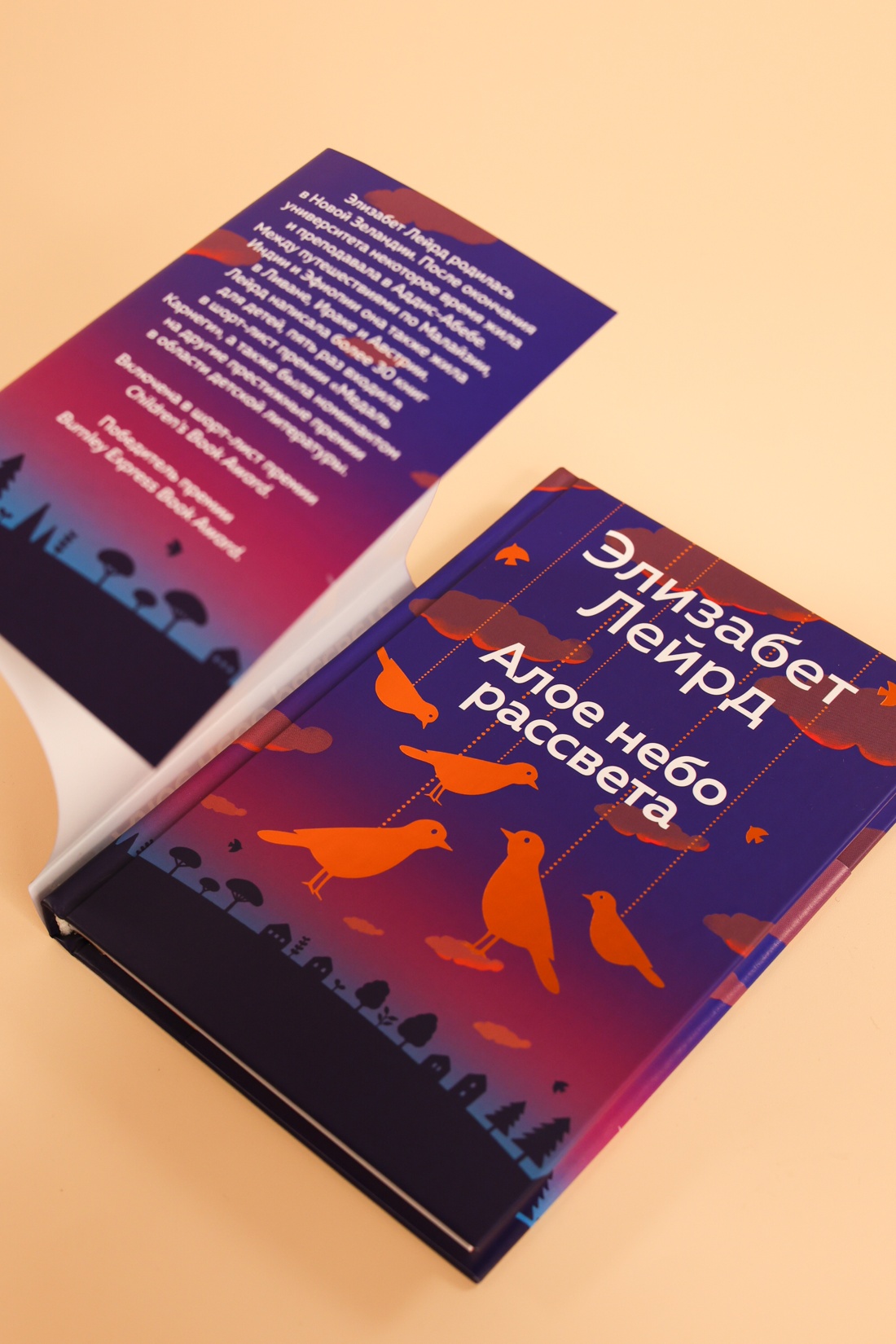 Промо материал к книге "Алое небо рассвета" №7