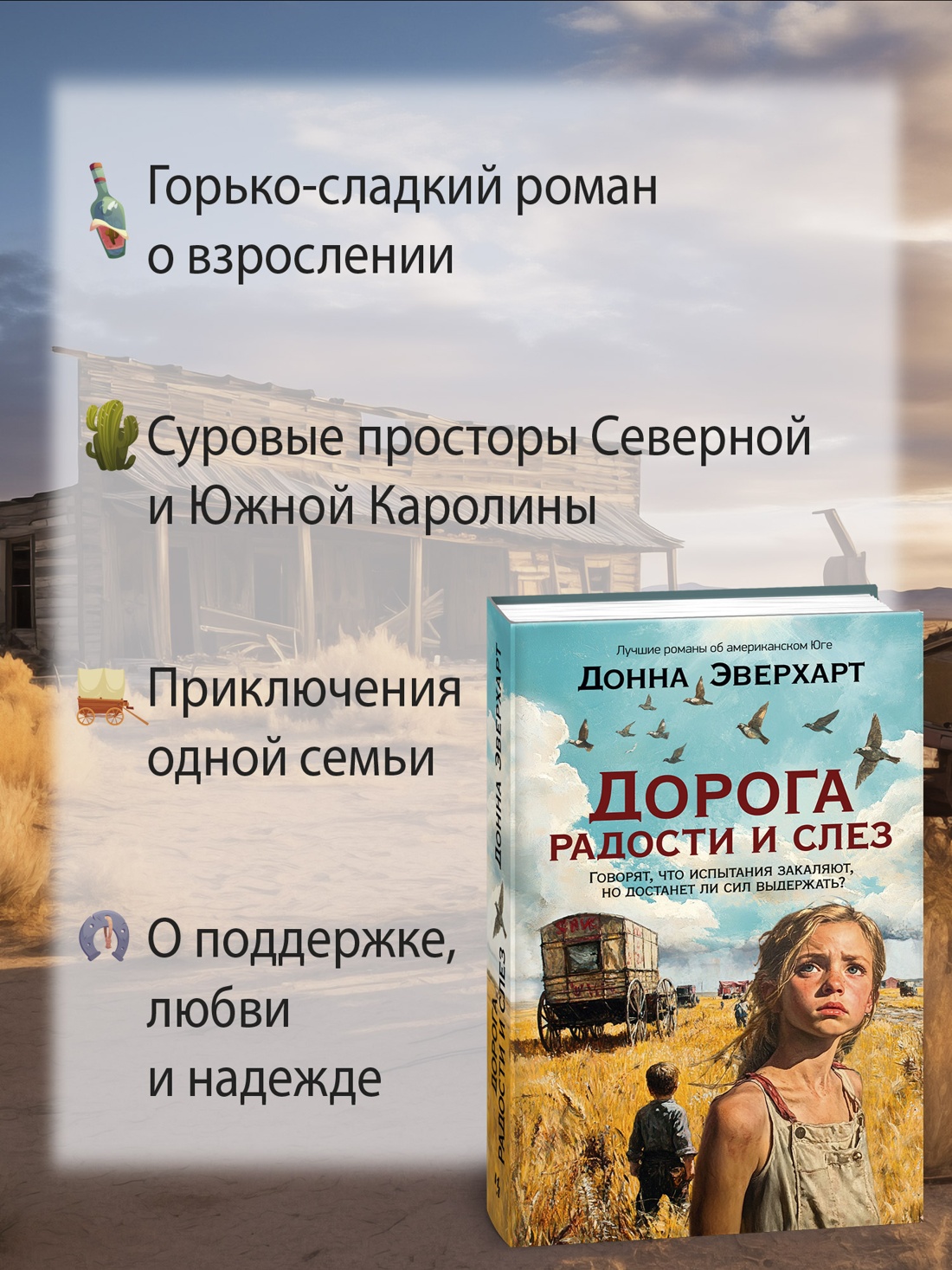 Промо материал к книге "Дорога радости и слез" №1