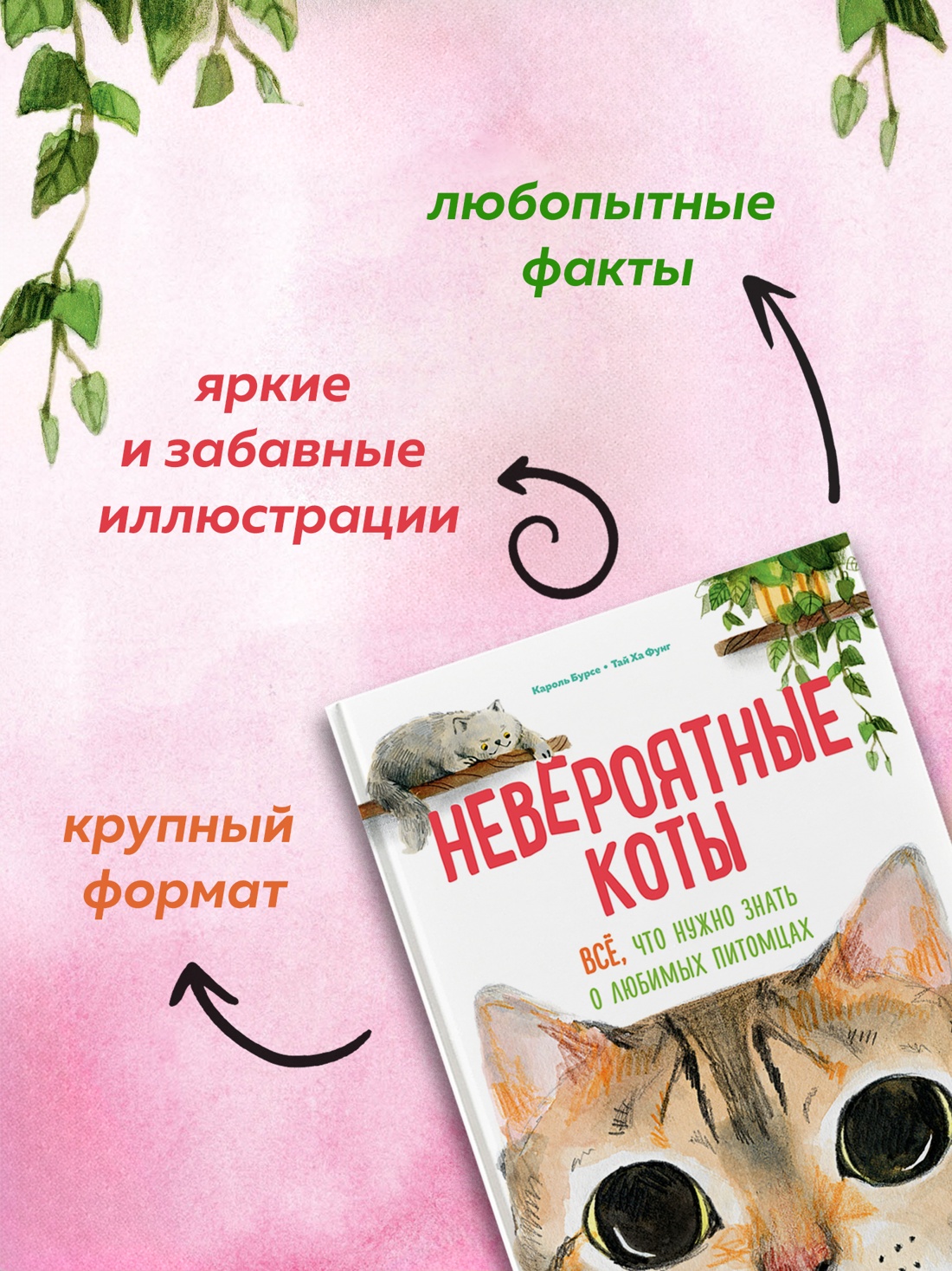 Промо материал к книге "Невероятные коты. Всё, что нужно знать о любимых питомцах" №1