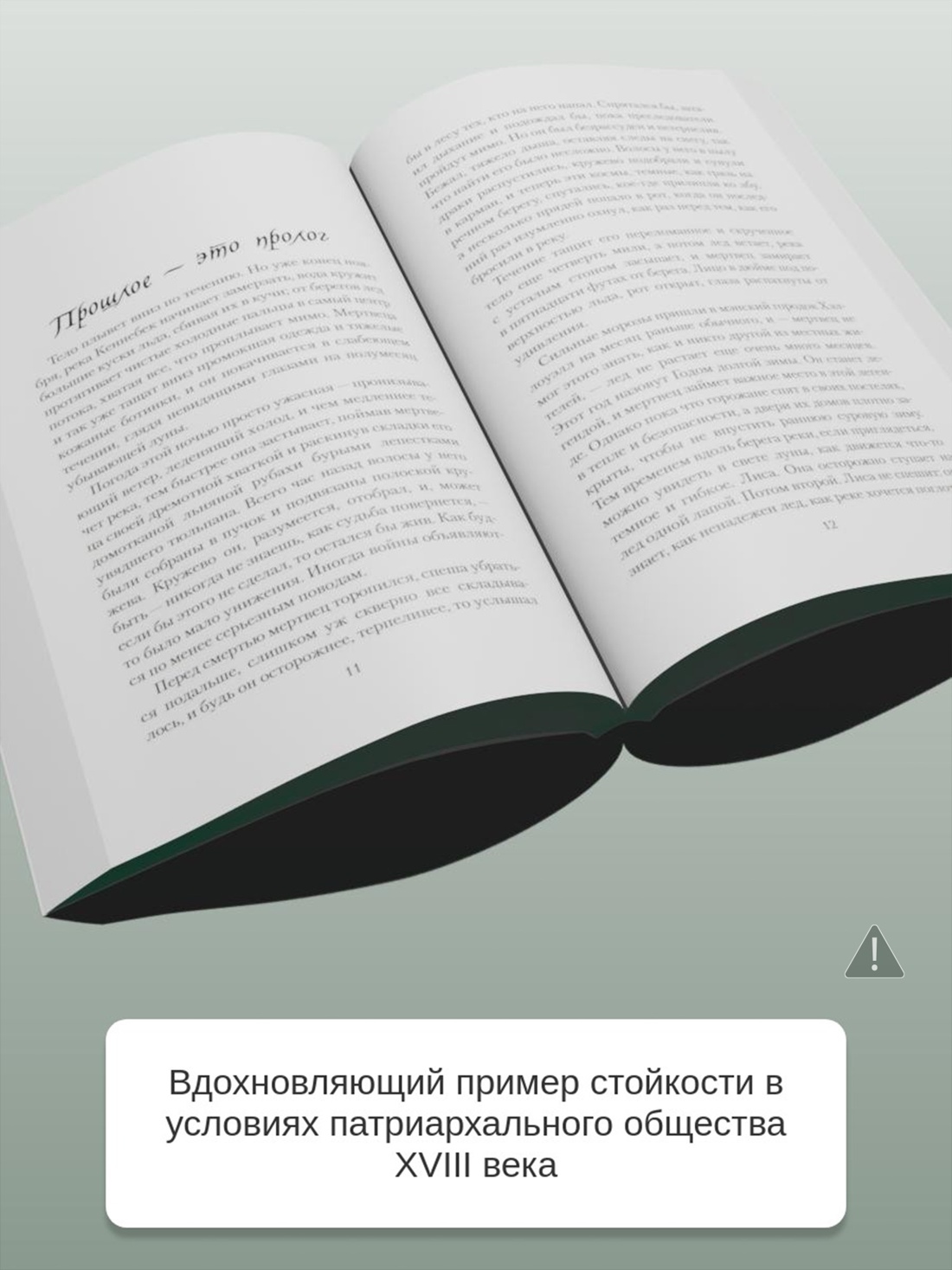 Промо материал к книге "Ледяная река (мягкая обложка)" №2