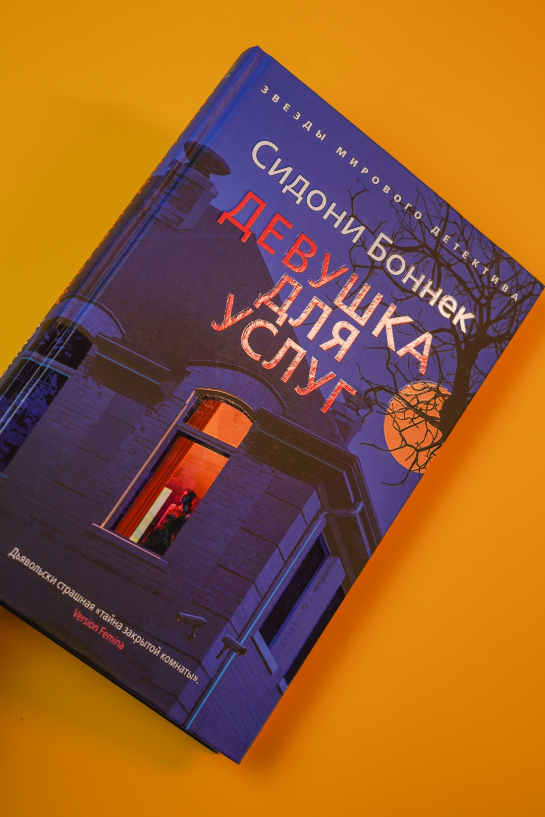 Промо материал к книге "Девушка для услуг" №5