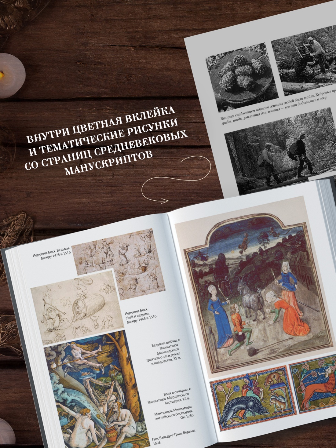 Промо материал к книге "Молот ведьм" №2