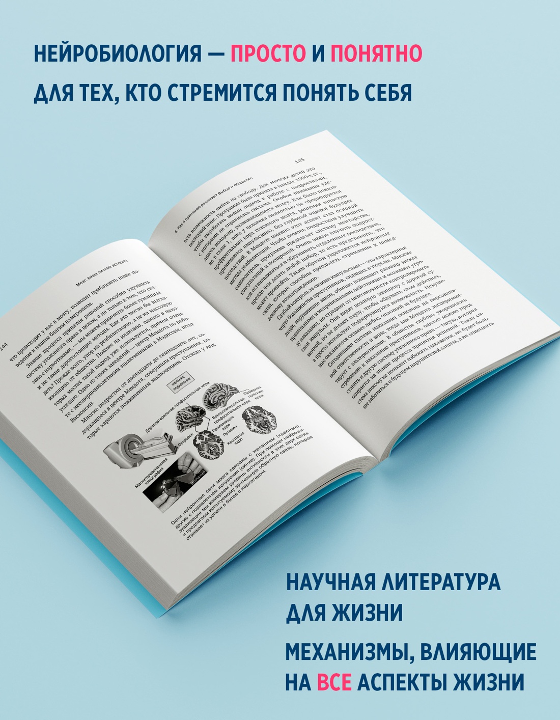 Промо материал к книге "Мозг: ваша личная история" №0