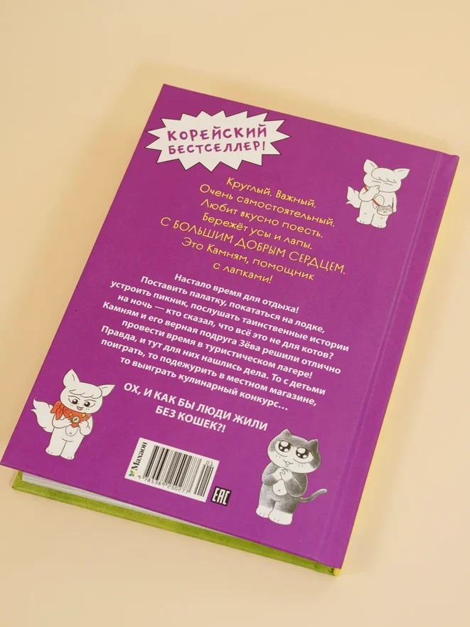 Промо материал к книге "Кот идёт в поход" №10