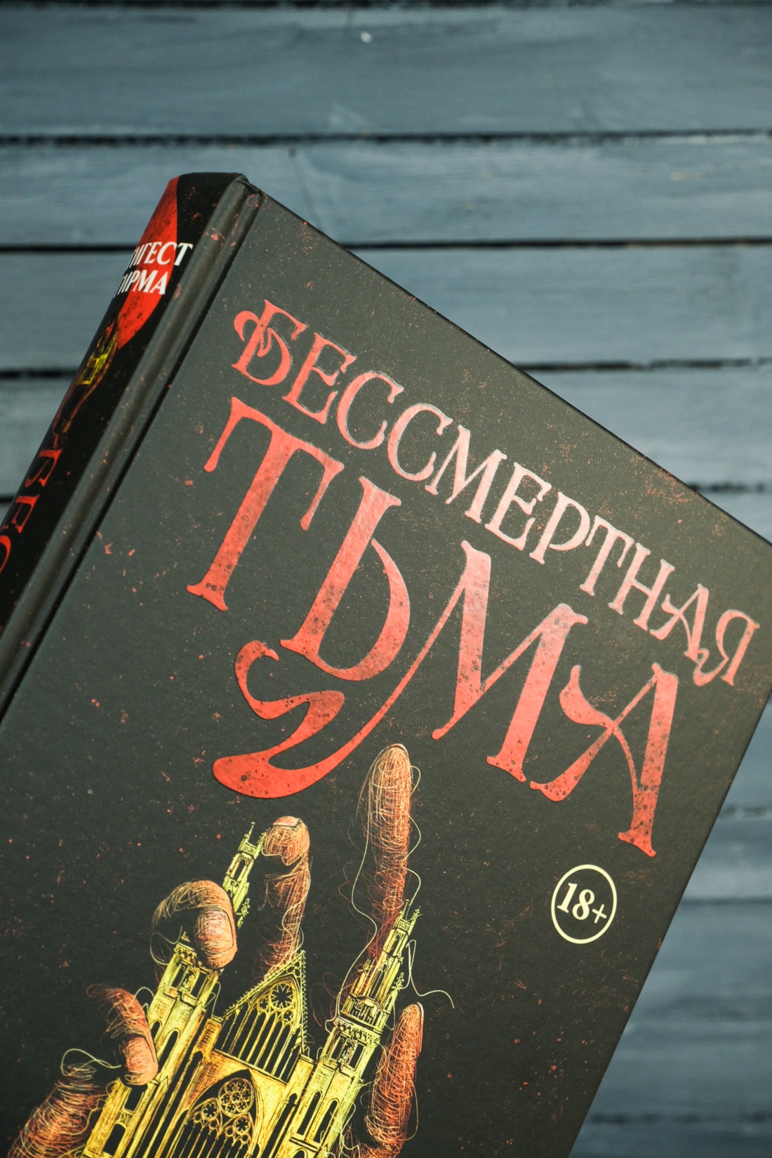 Промо материал к книге "Бессмертная тьма" №11