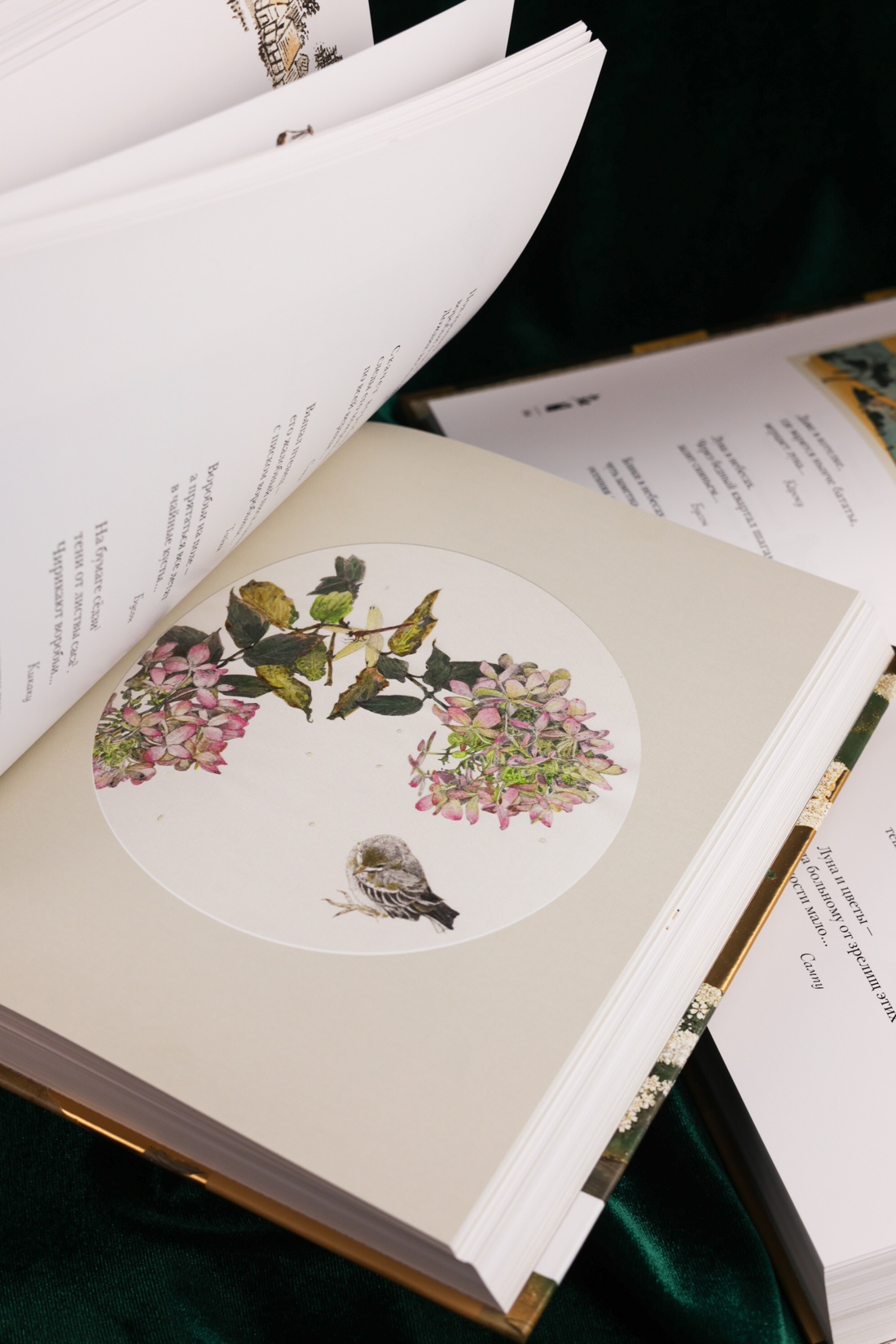 Промо материал к книге "Мир в капле. Комплект из 2-х книг в коробе" №7