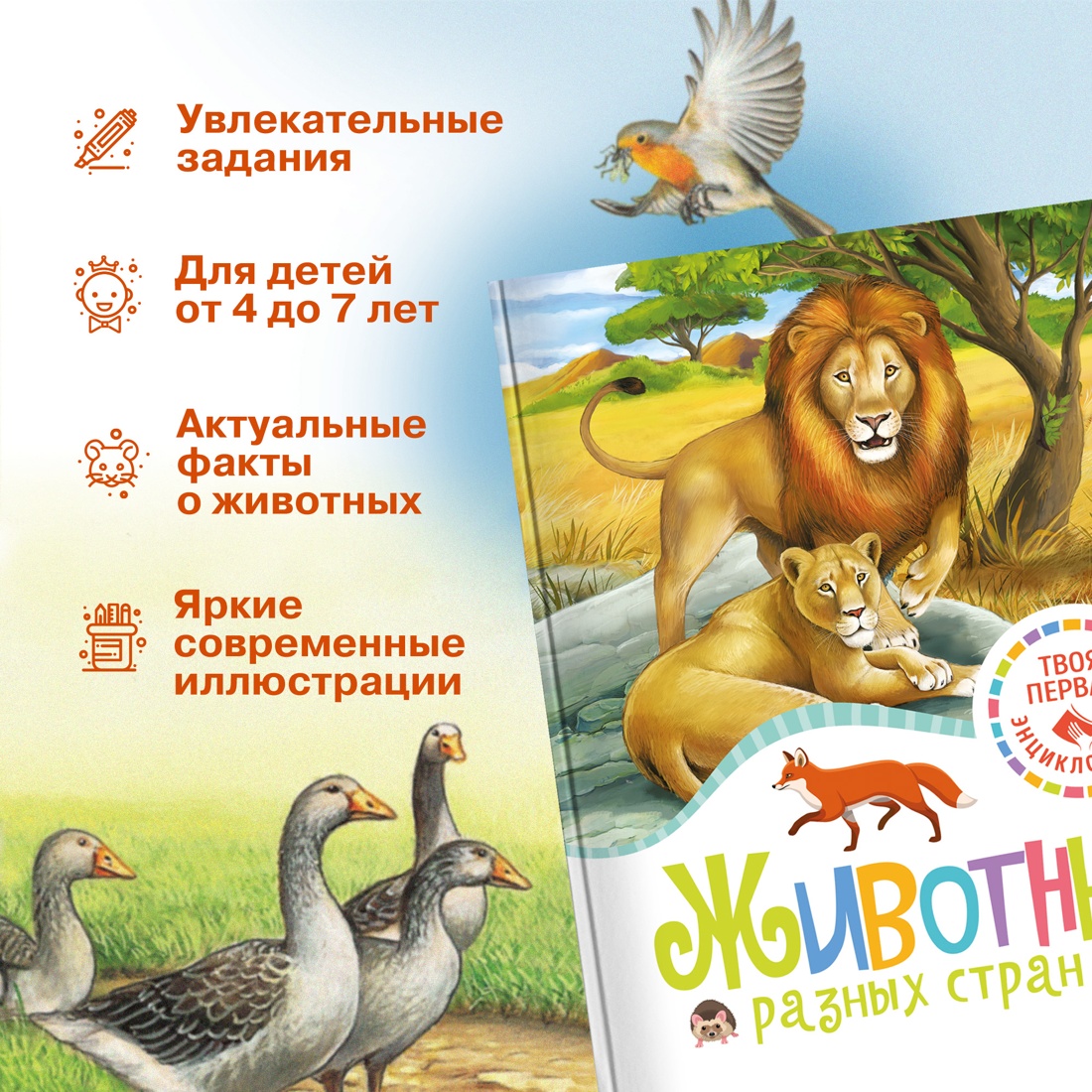 Промо материал к книге "Животные разных стран" №1