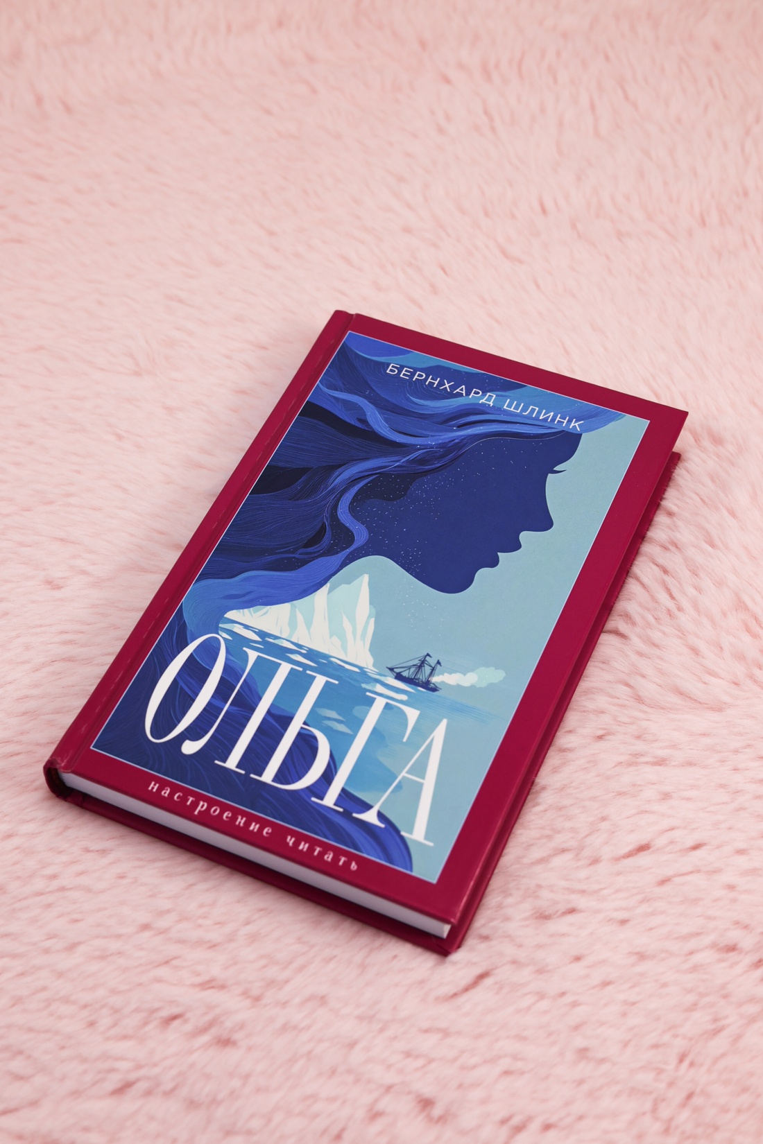 Промо материал к книге "Ольга (Настроение читать)" №4