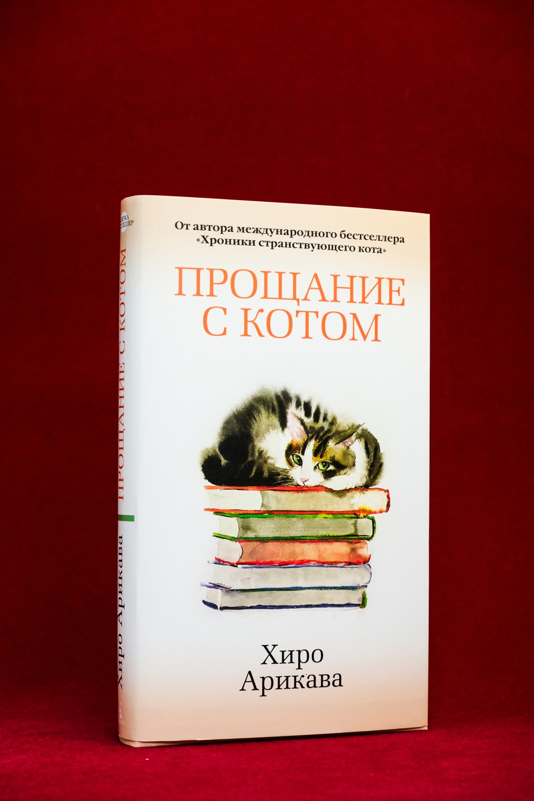 Промо материал к книге "Прощание с котом" №8