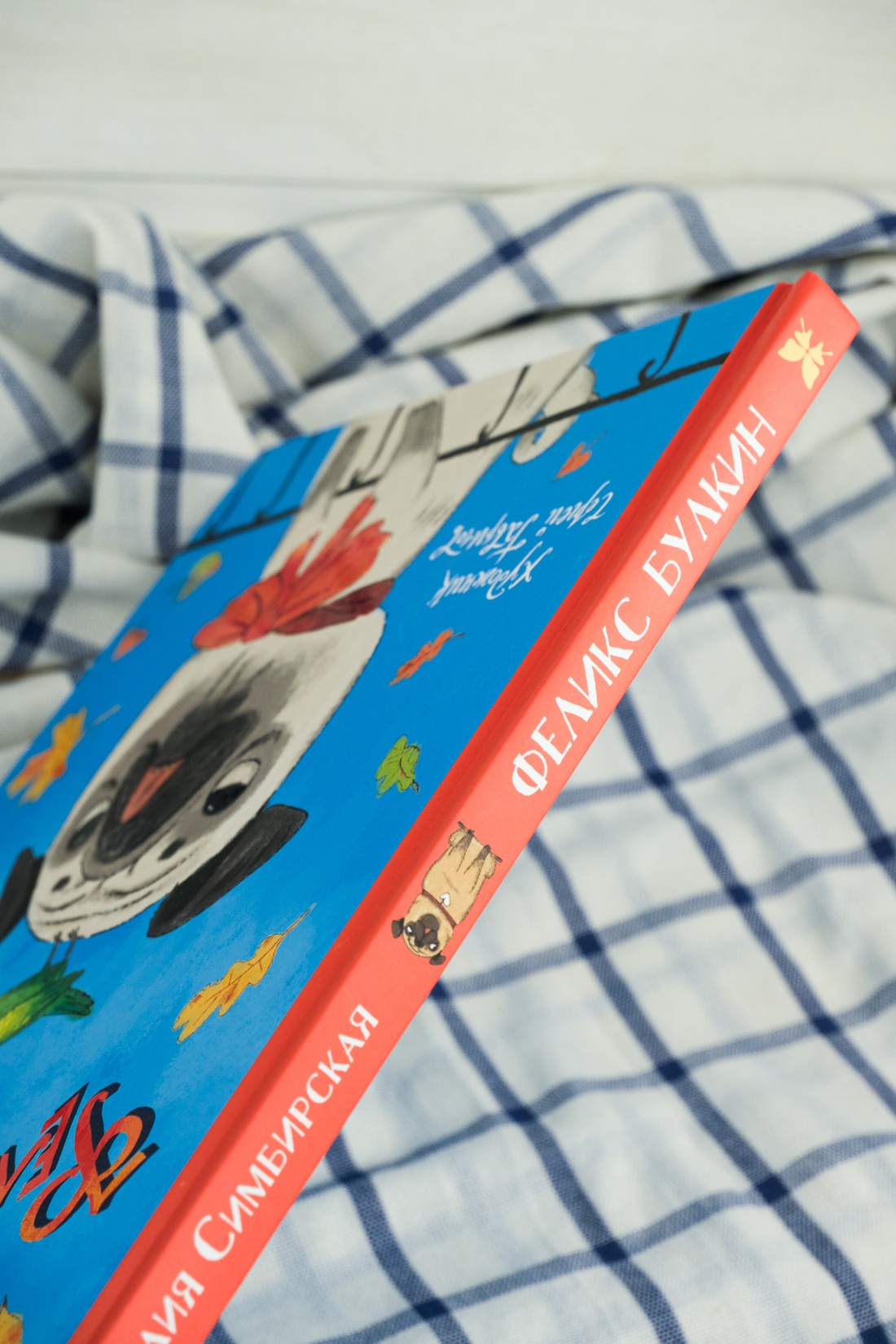 Промо материал к книге "Феликс Булкин" №6
