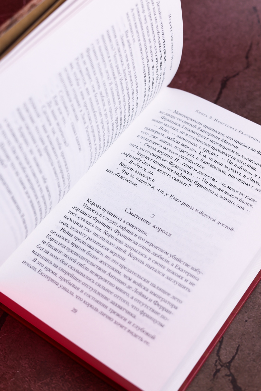 Промо материал к книге "Медичи. Королевы Франции" №12