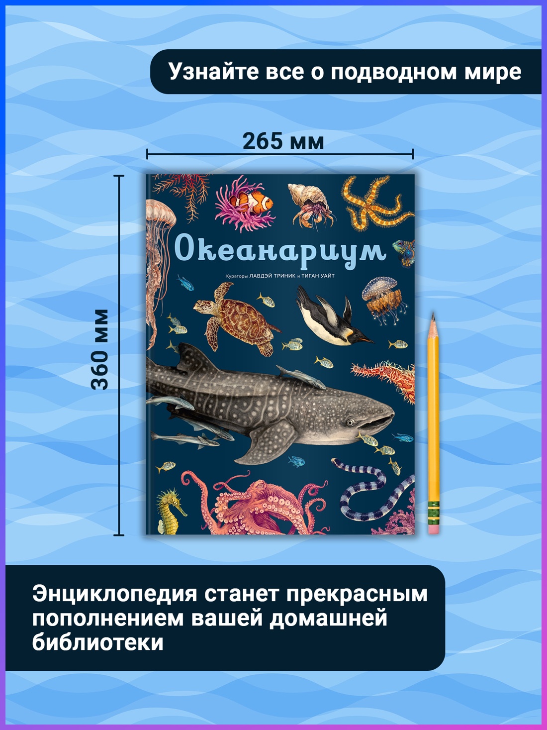 Промо материал к книге "Океанариум" №2