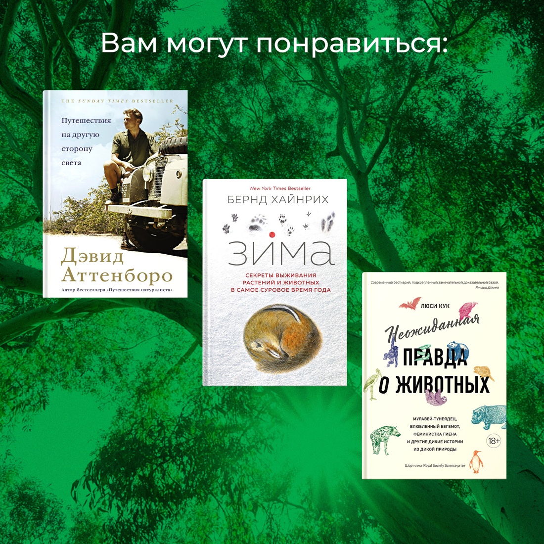 Промо материал к книге "Хюгге от коал. Жизнь среди деревьев" №6