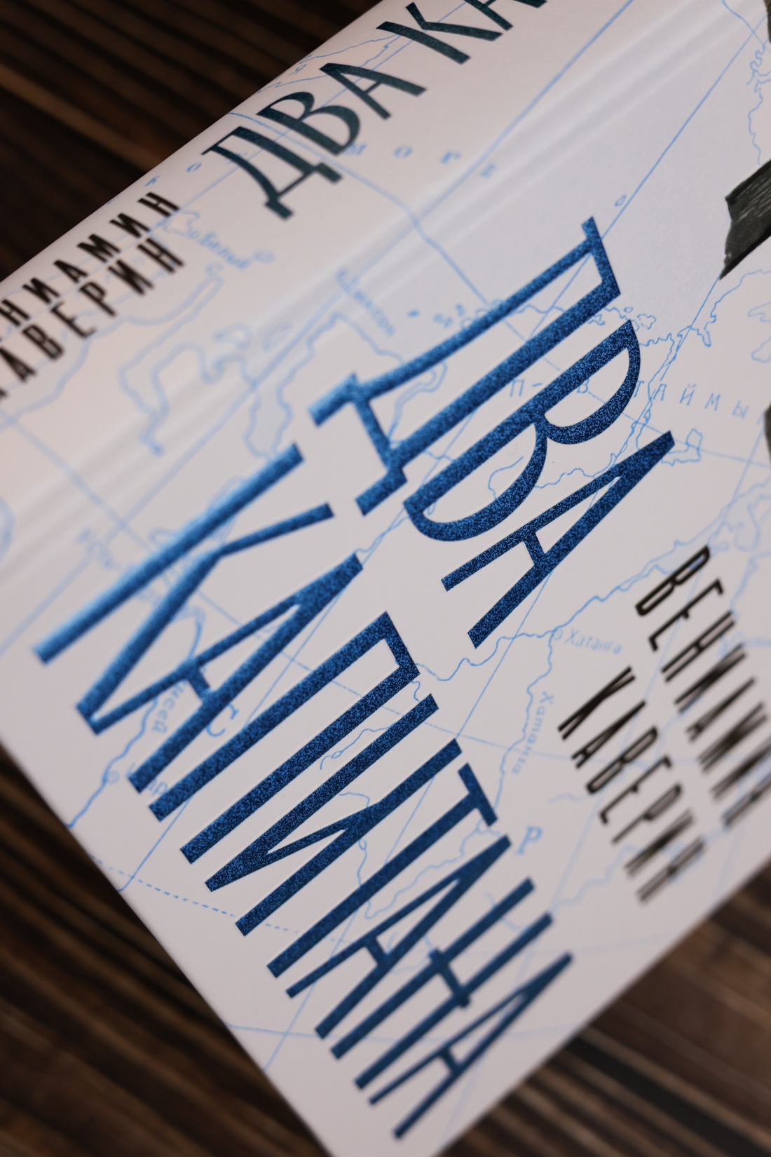 Промо материал к книге "Два капитана (илл. Юрий Гершкович и др.)" №5