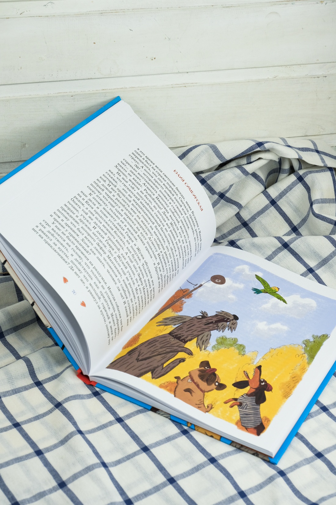 Промо материал к книге "Феликс Булкин" №10
