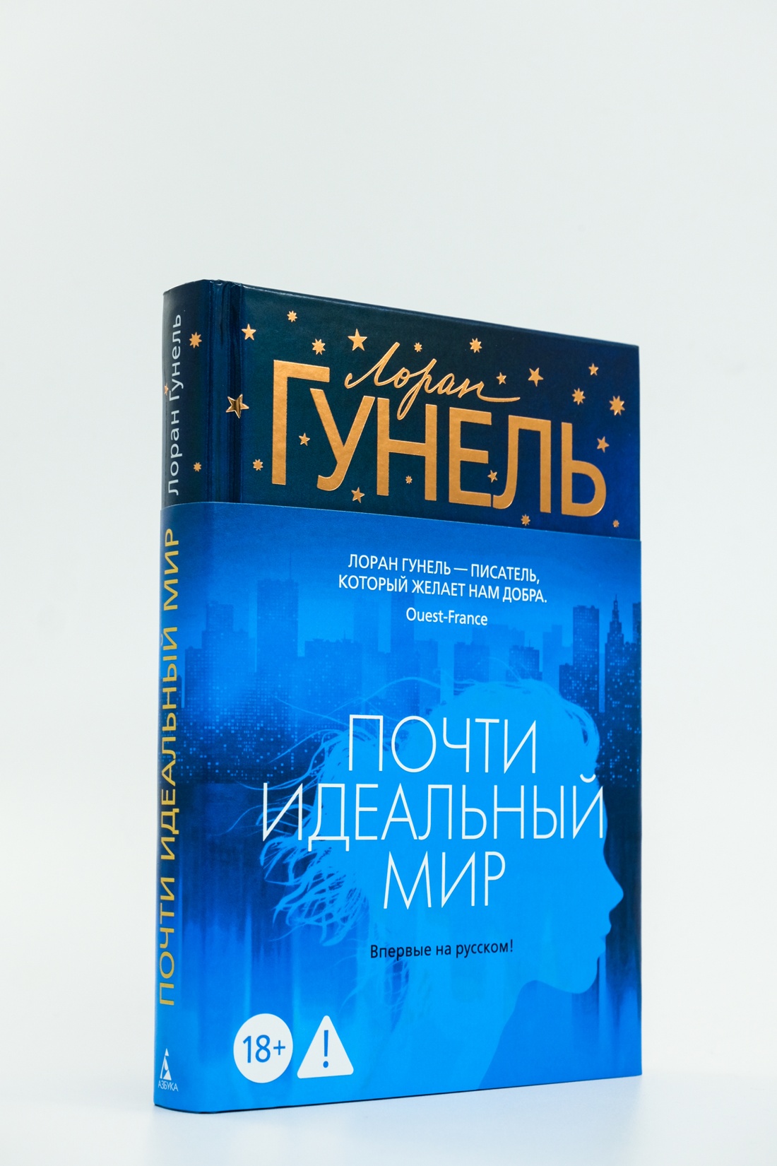 Промо материал к книге "Почти идеальный мир" №5