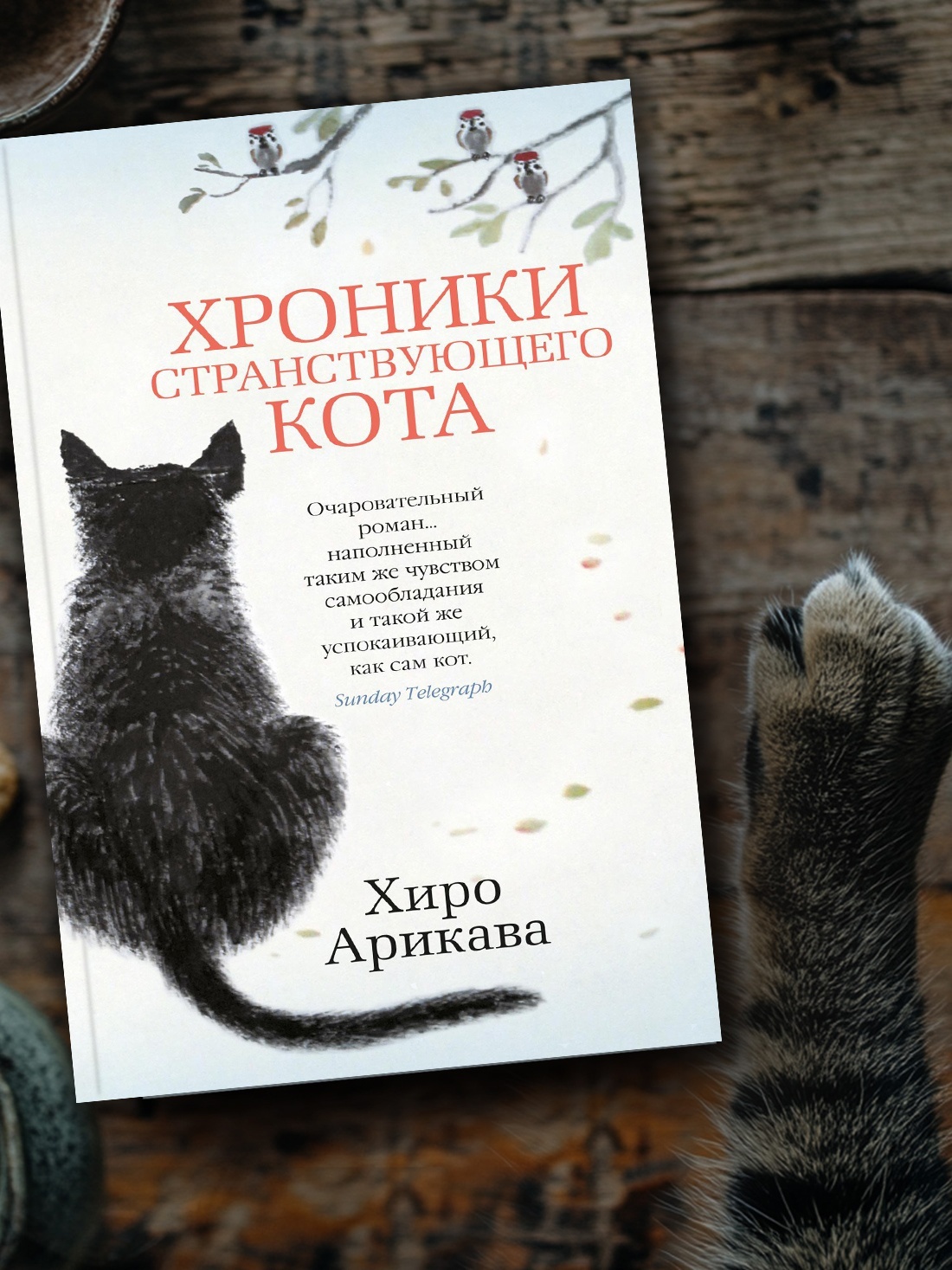 Промо материал к книге "Хроники странствующего кота (The Big Book (мягкая обл))" №7