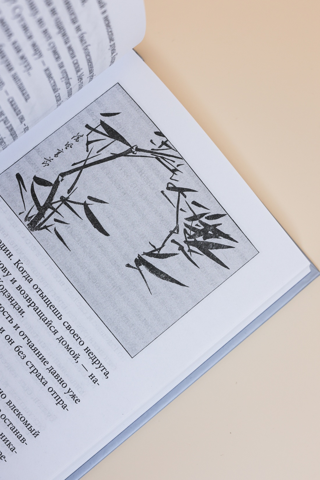 Промо материал к книге "Сказки весеннего дождя. Повесть Западных гор" №9