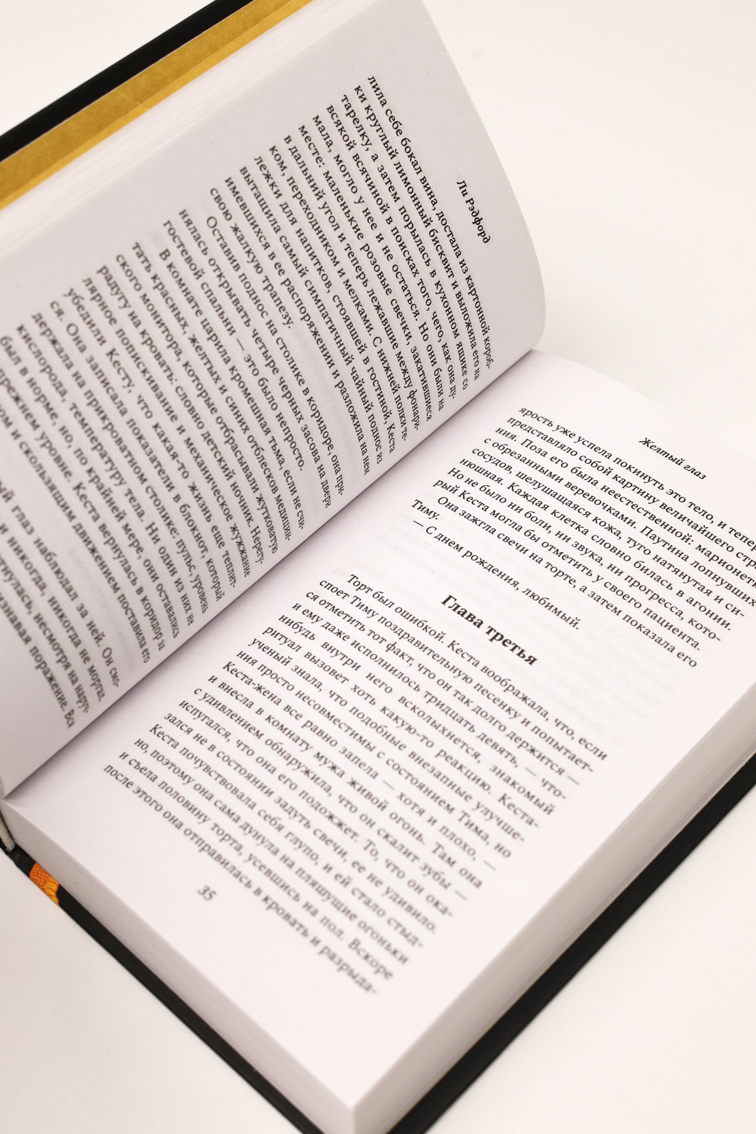 Промо материал к книге "Желтый глаз" №11