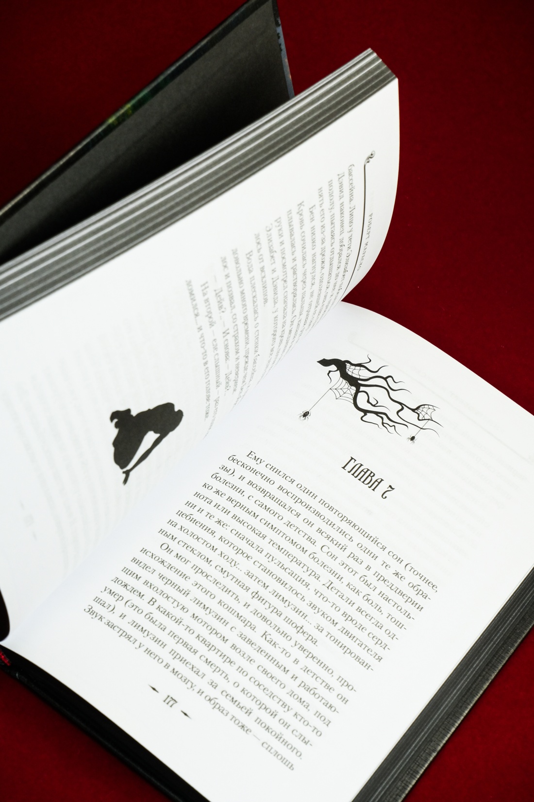 Промо материал к книге "Сожженные приношения" №11
