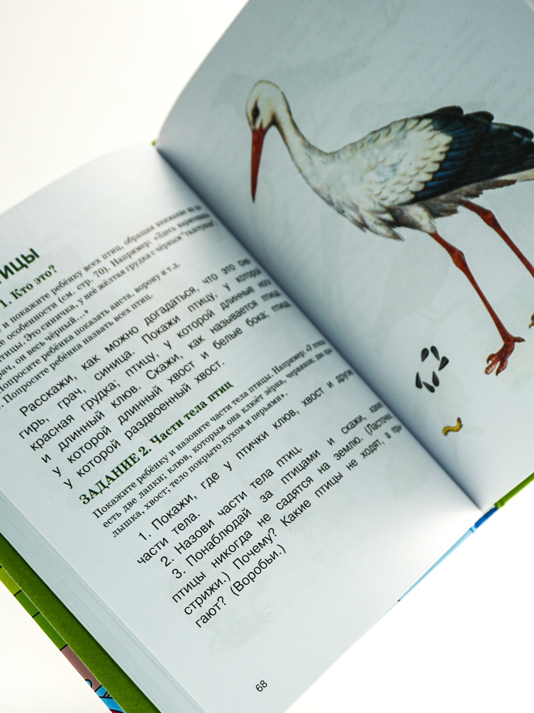 Промо материал к книге "Развитие речи. Уроки с логопедом" №4