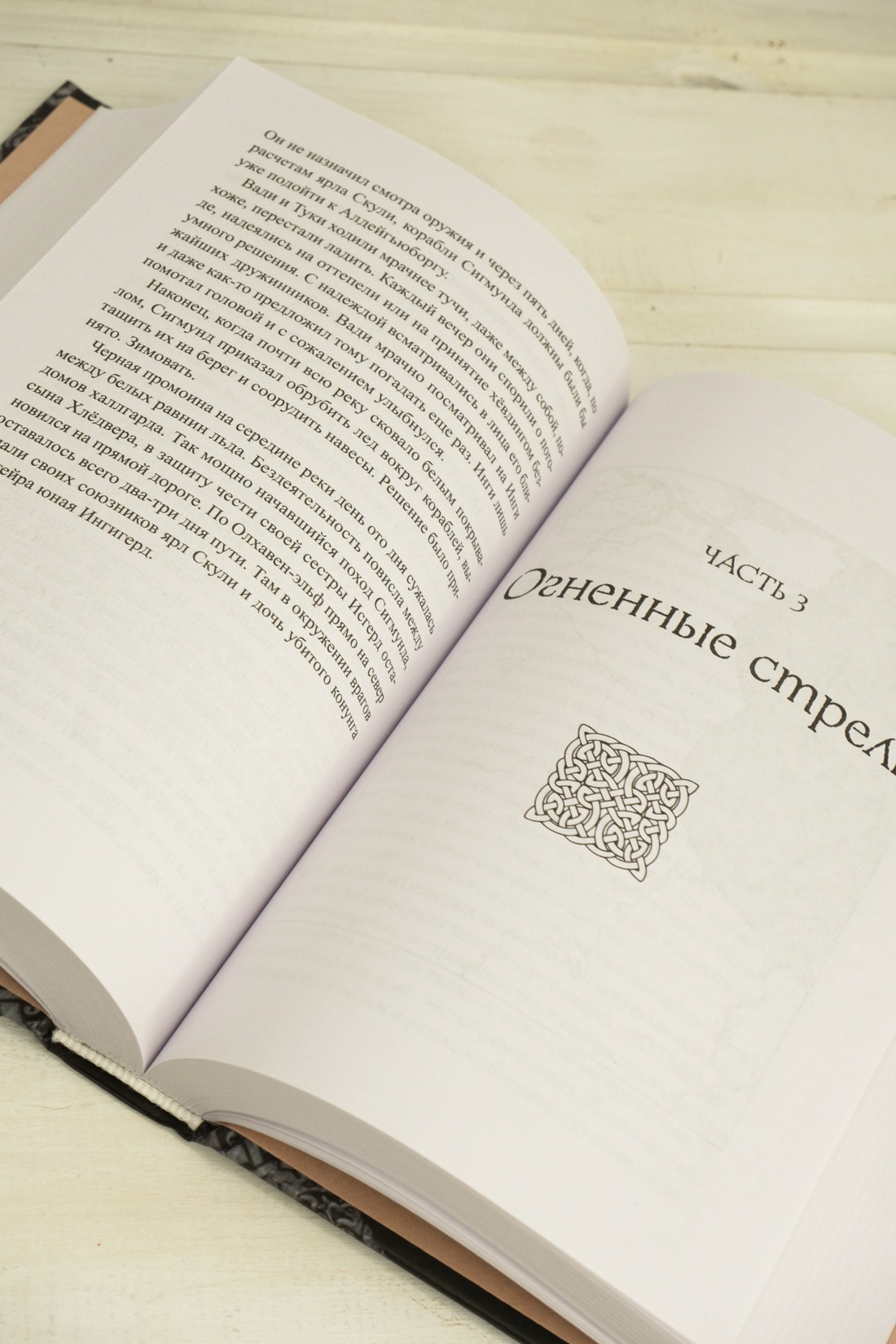 Промо материал к книге "Руны земли" №8