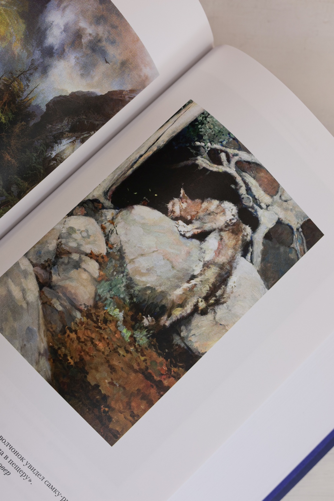 Промо материал к книге "Зов предков. Белый Клык. Сказания о Дальнем Севере" №10