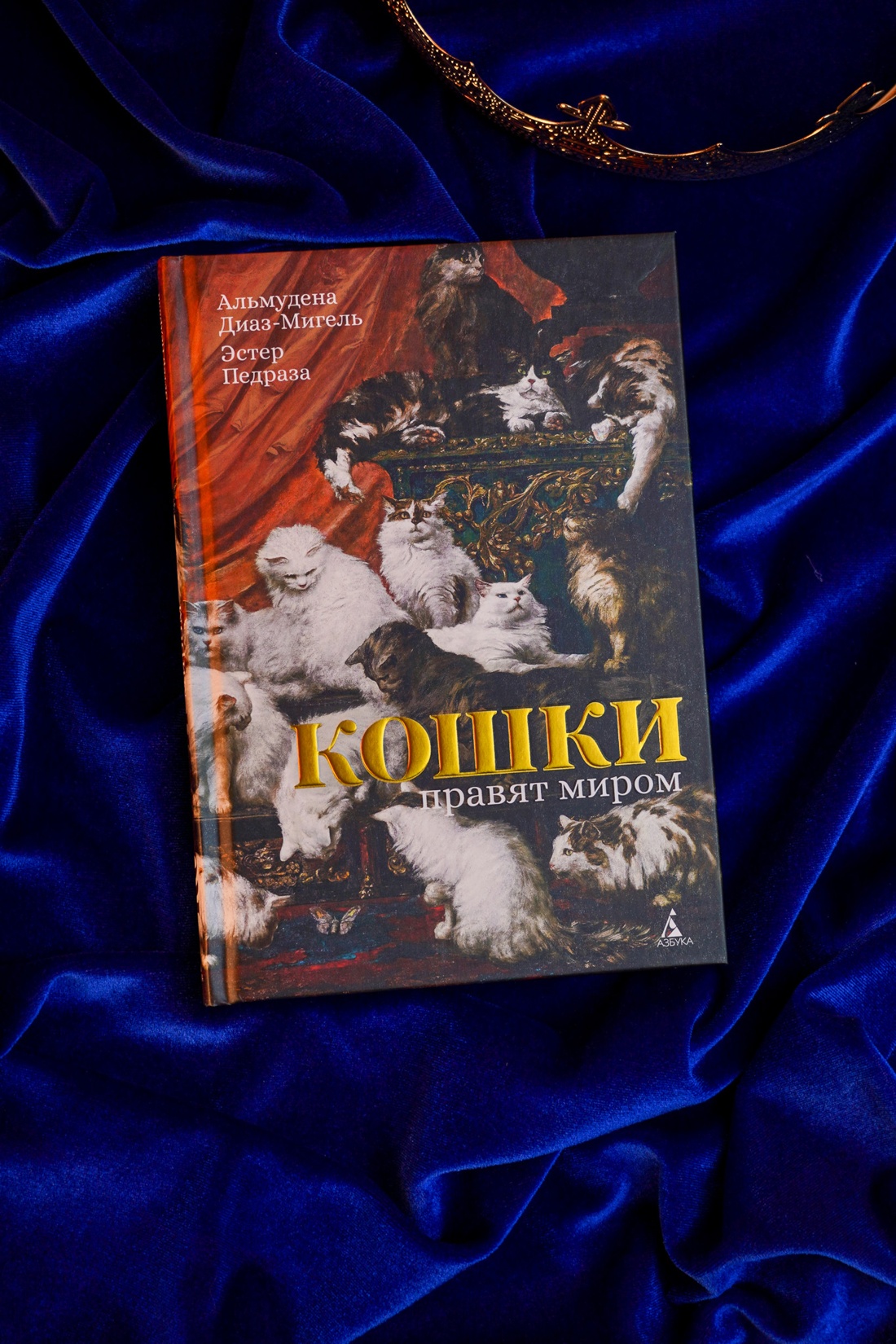 Промо материал к книге "Кошки правят миром" №5