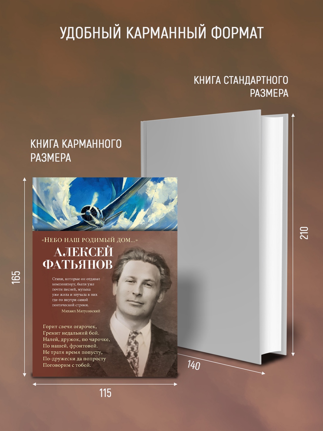 Промо материал к книге "«Небо наш родимый дом...»" №2