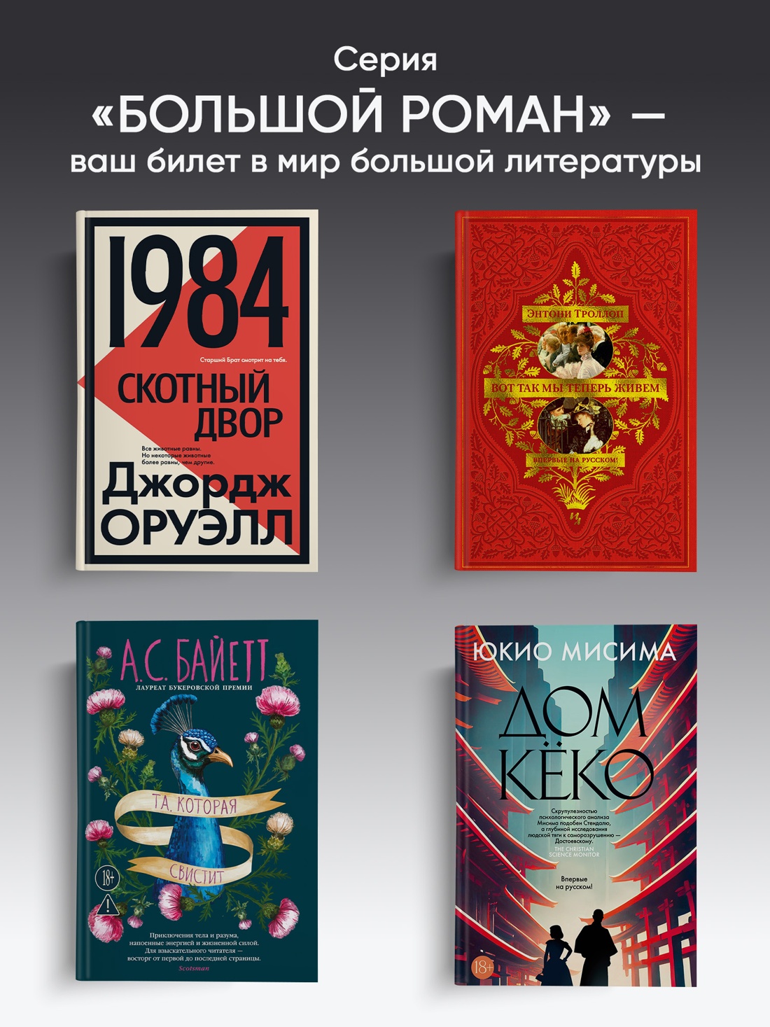 Промо материал к книге "Мы (Большой роман)" №2