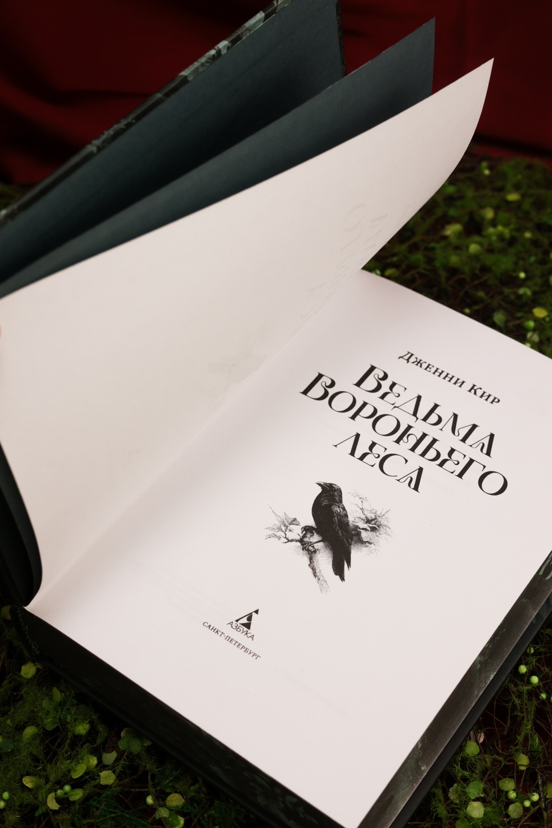 Промо материал к книге "Ведьма Вороньего леса" №9