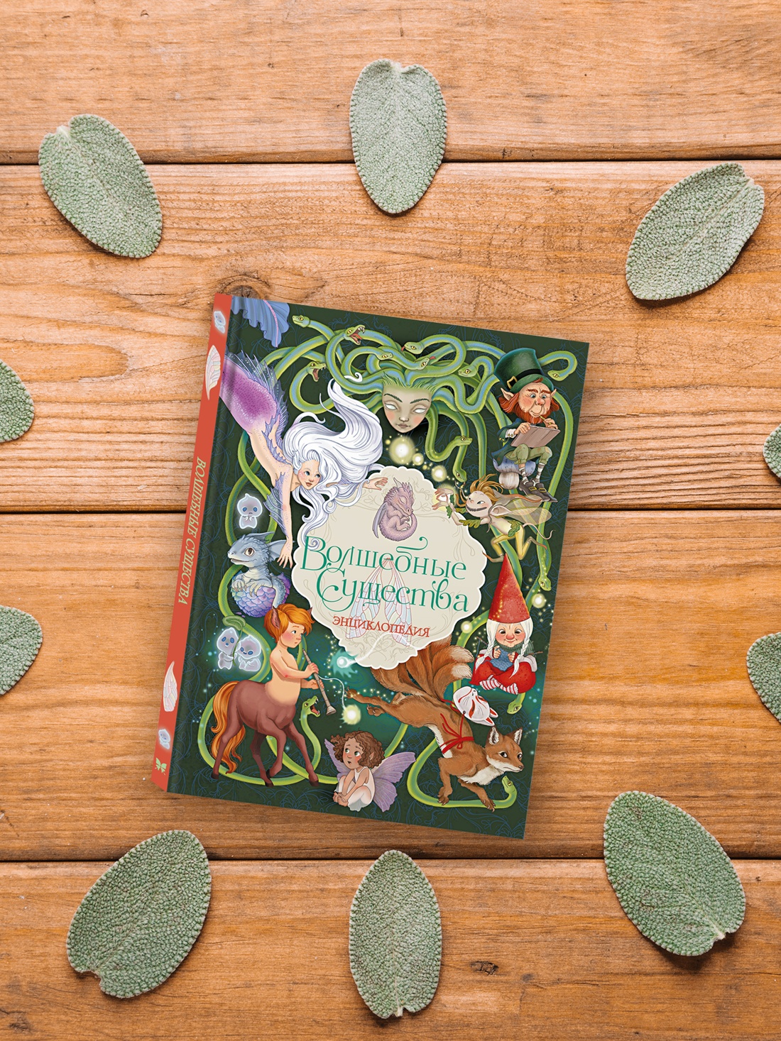 Промо материал к книге "Волшебные существа. Энциклопедия" №4