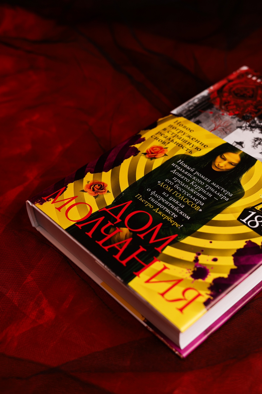 Промо материал к книге "Дом молчания" №13