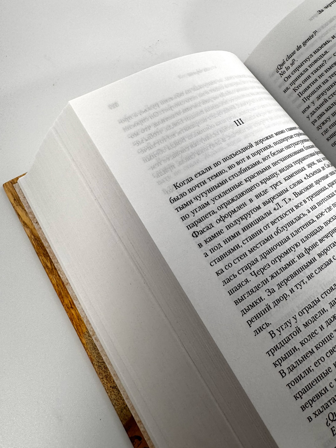 Промо материал к книге "Пограничная трилогия" №8