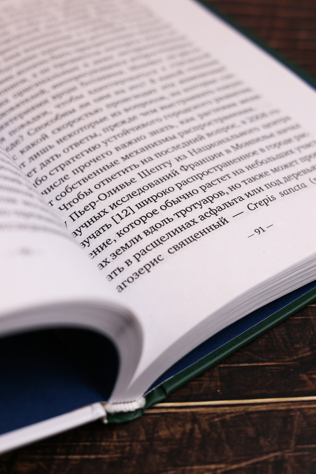 Промо материал к книге "Фитополис. Город жизни" №7