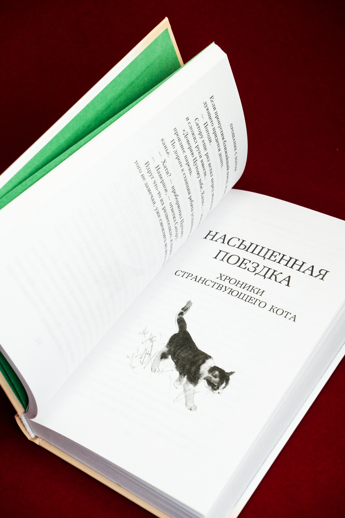 Промо материал к книге "Прощание с котом" №13