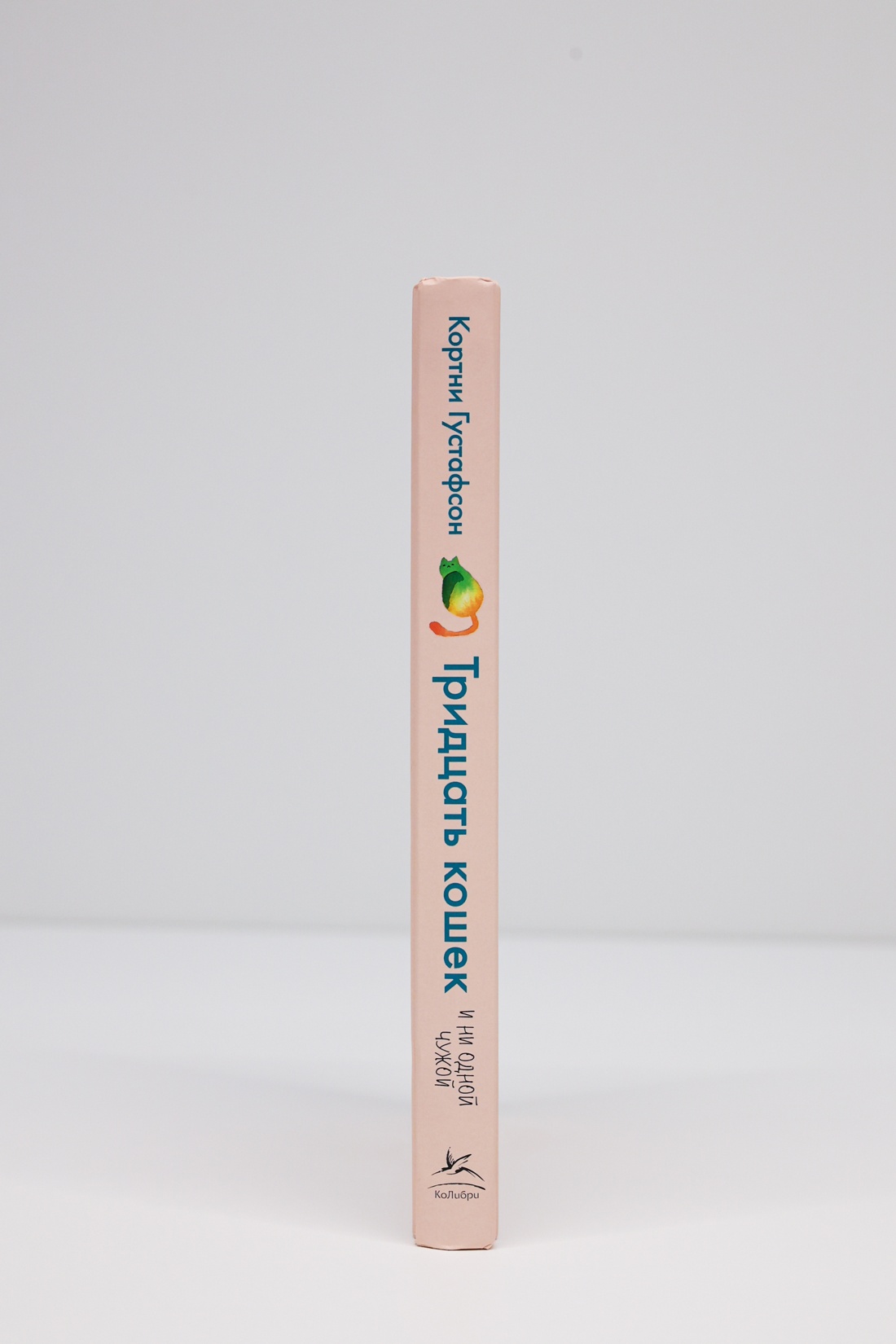 Промо материал к книге "Тридцать кошек и ни одной чужой. Мемуары о жизни, любви и принятии себя" №7