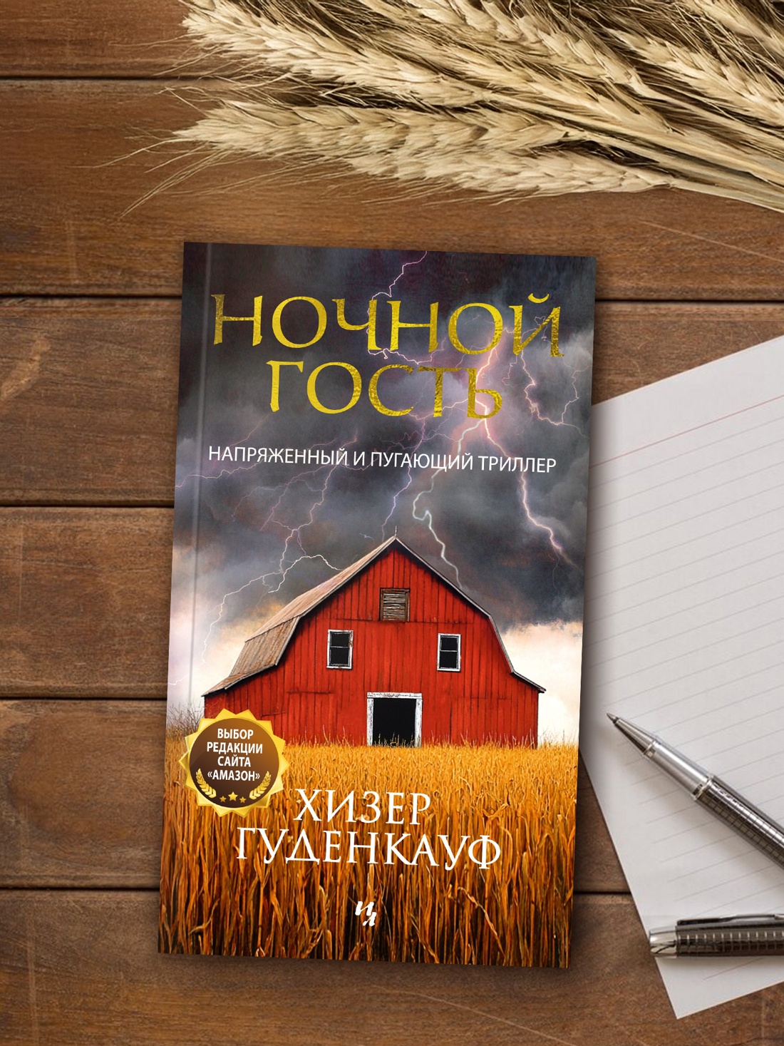 Промо материал к книге "Ночной гость" №3