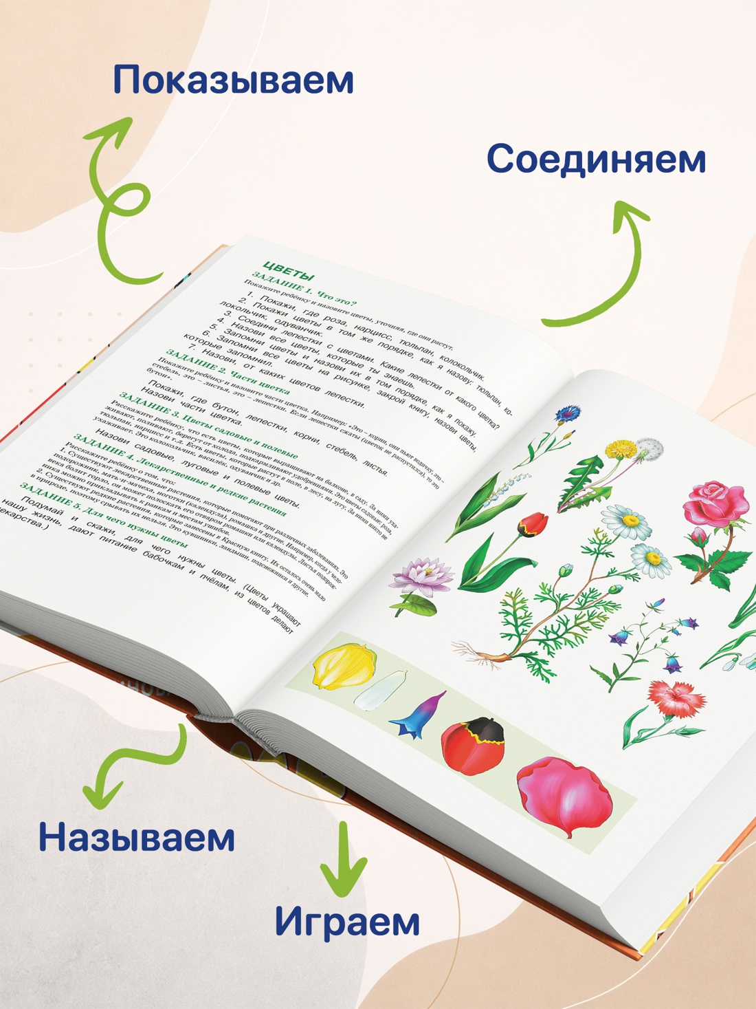Промо материал к книге "Развитие речи. Уроки с логопедом (Академия дошколят)" №3