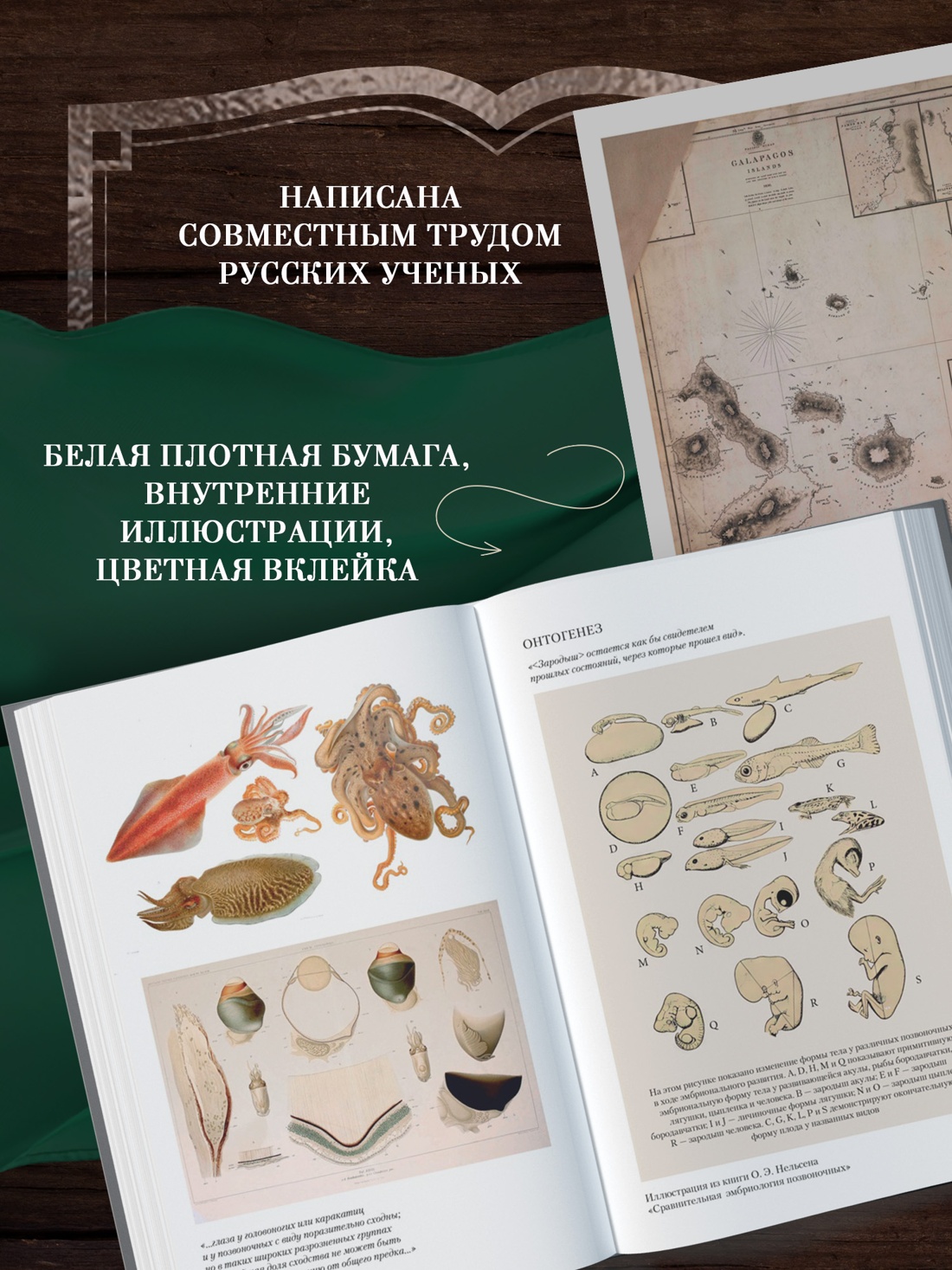 Промо материал к книге "Происхождение видов путем естественного отбора" №0