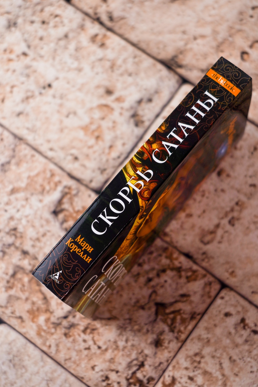 Промо материал к книге "Скорбь Сатаны" №5