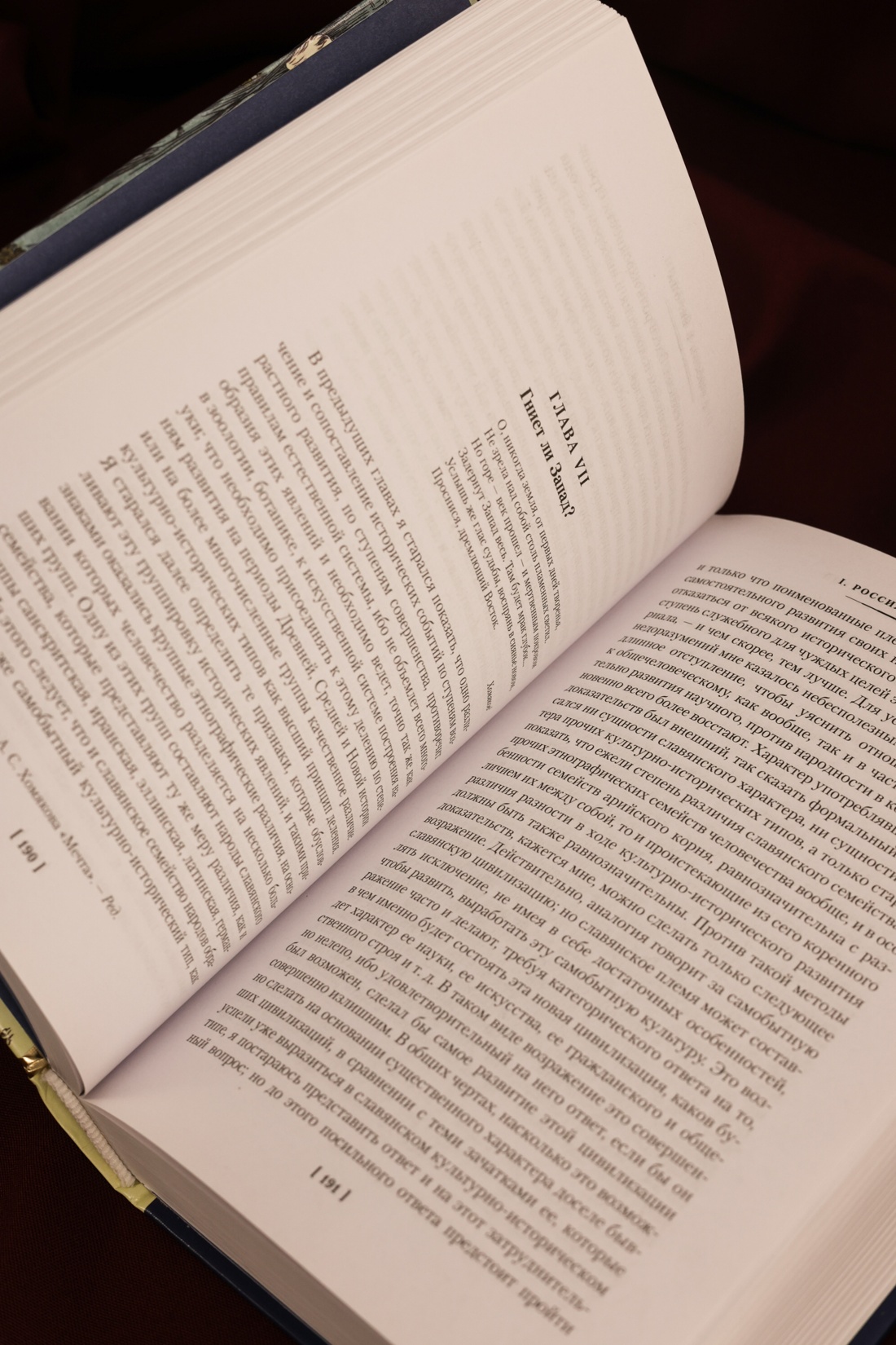 Промо материал к книге "Россия и Европа (твердый)" №11